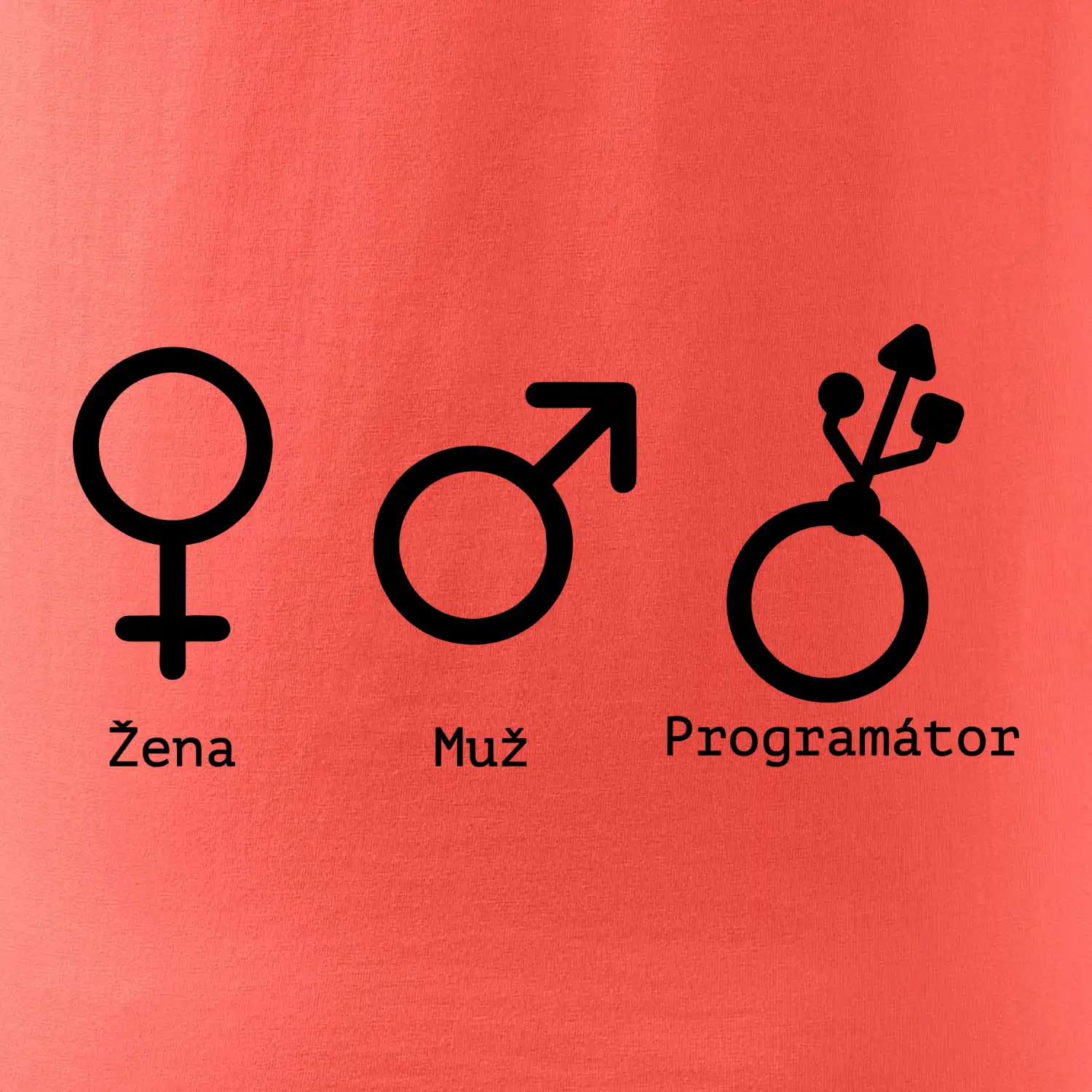 Muž žena programátor