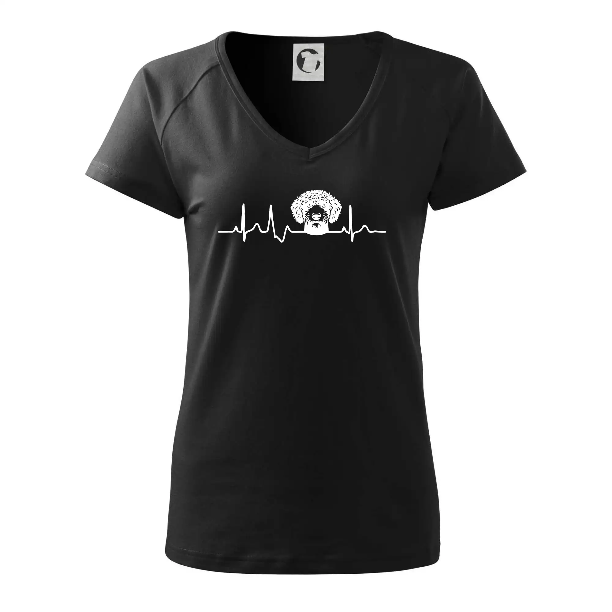 Lagotto romagnolo hlava EKG