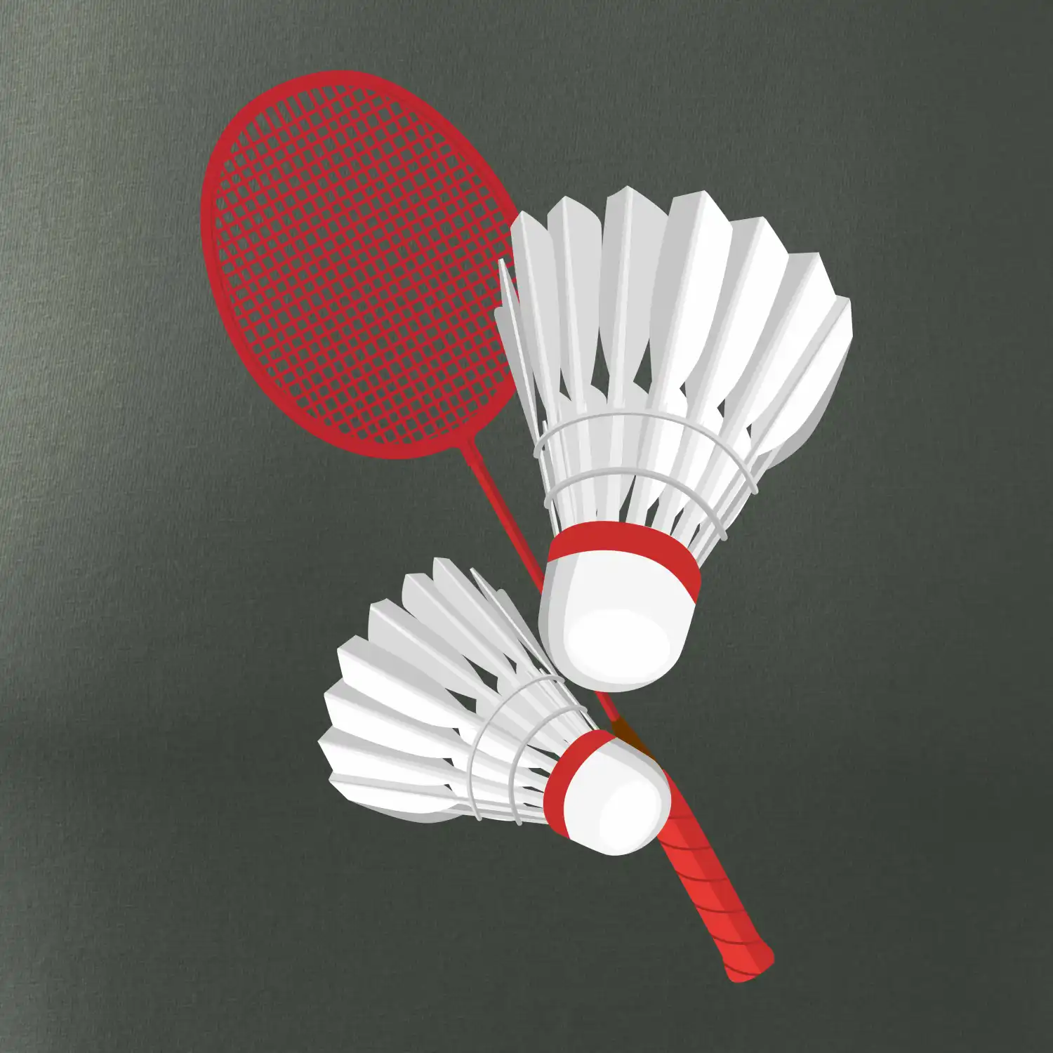 Badminton - pálka a košík