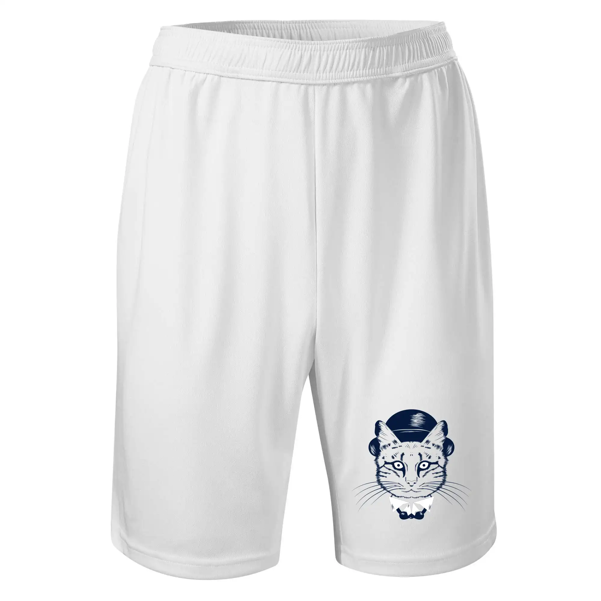 Kočka hipster s kloboukem