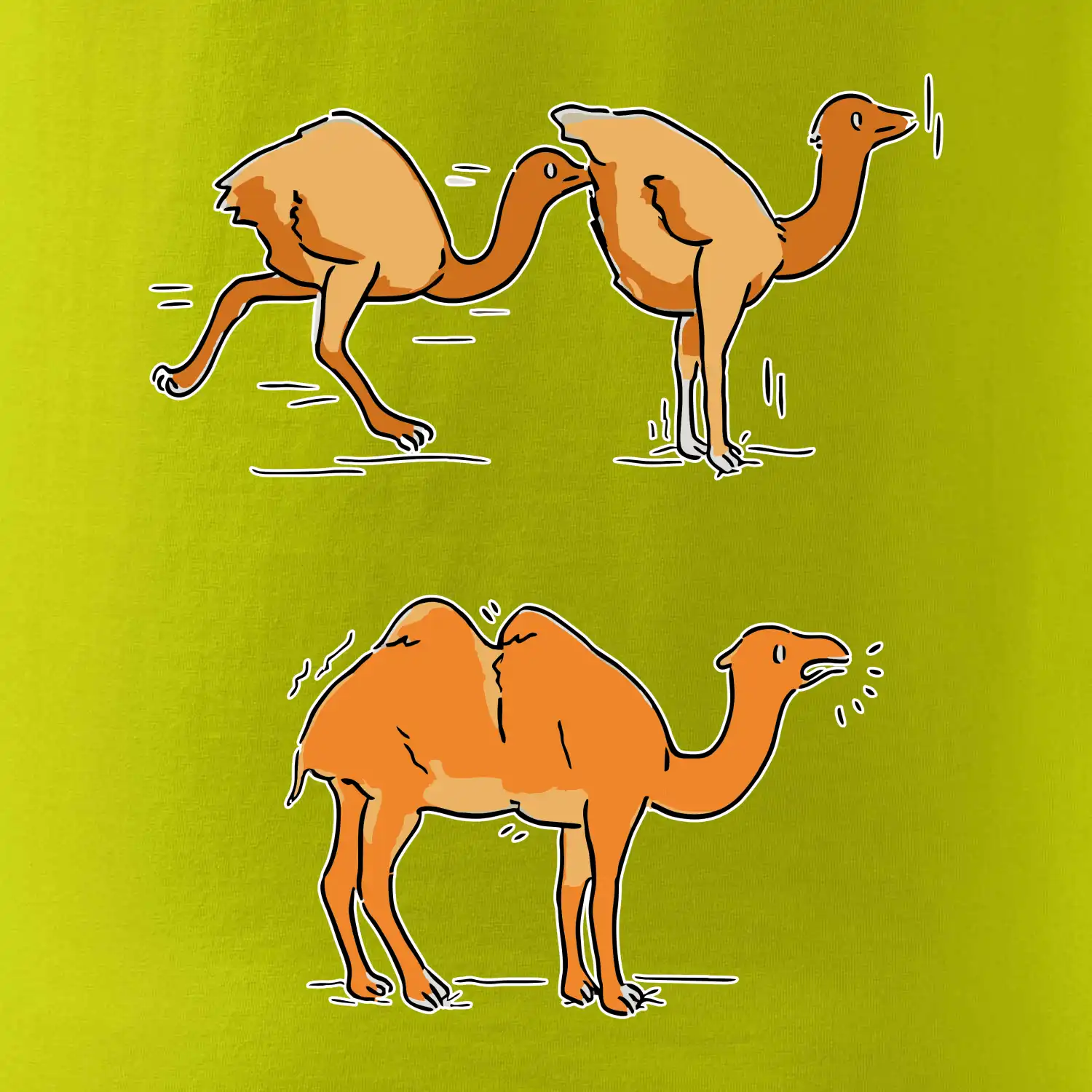 Pravda o velbloudech