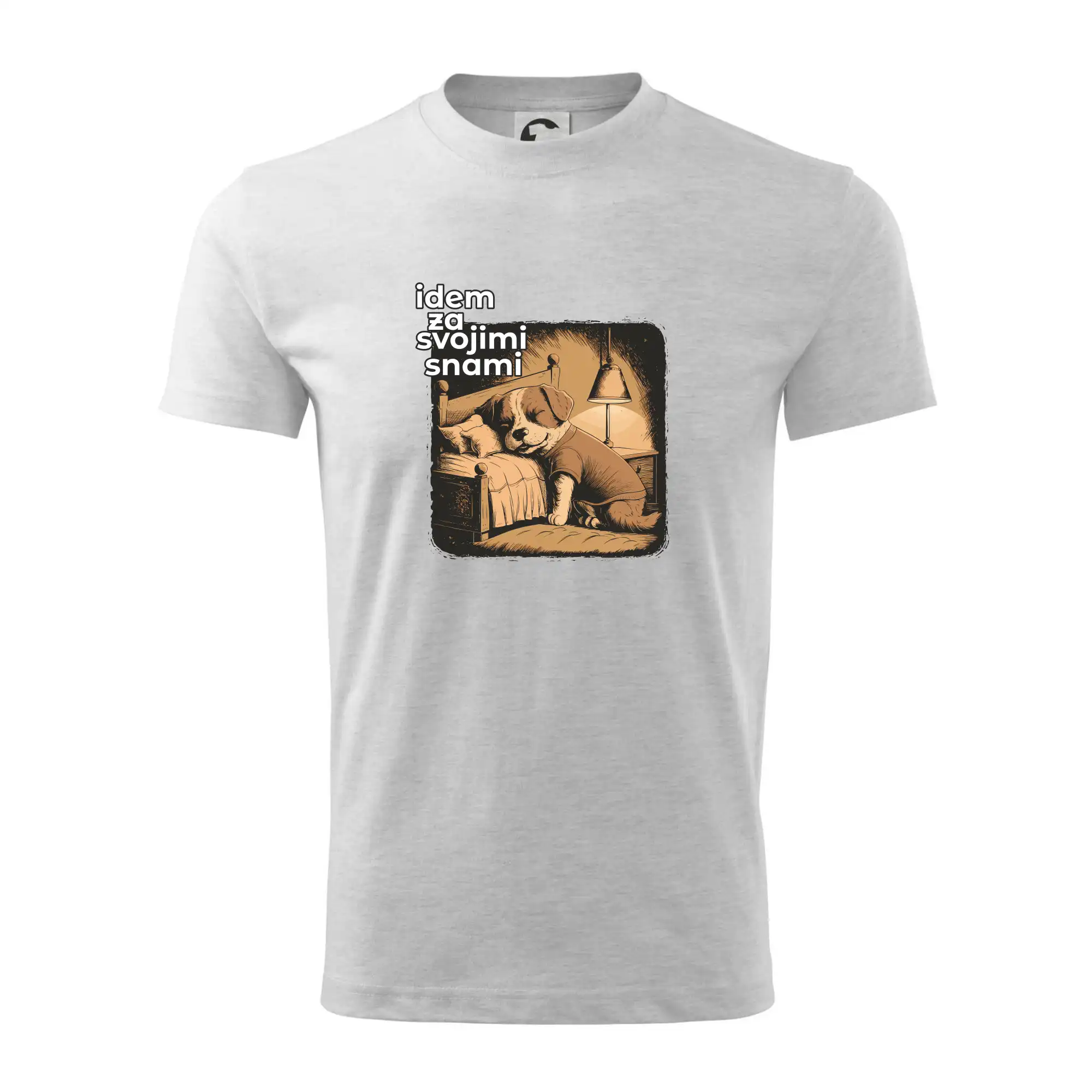 Idem za svojimi snami