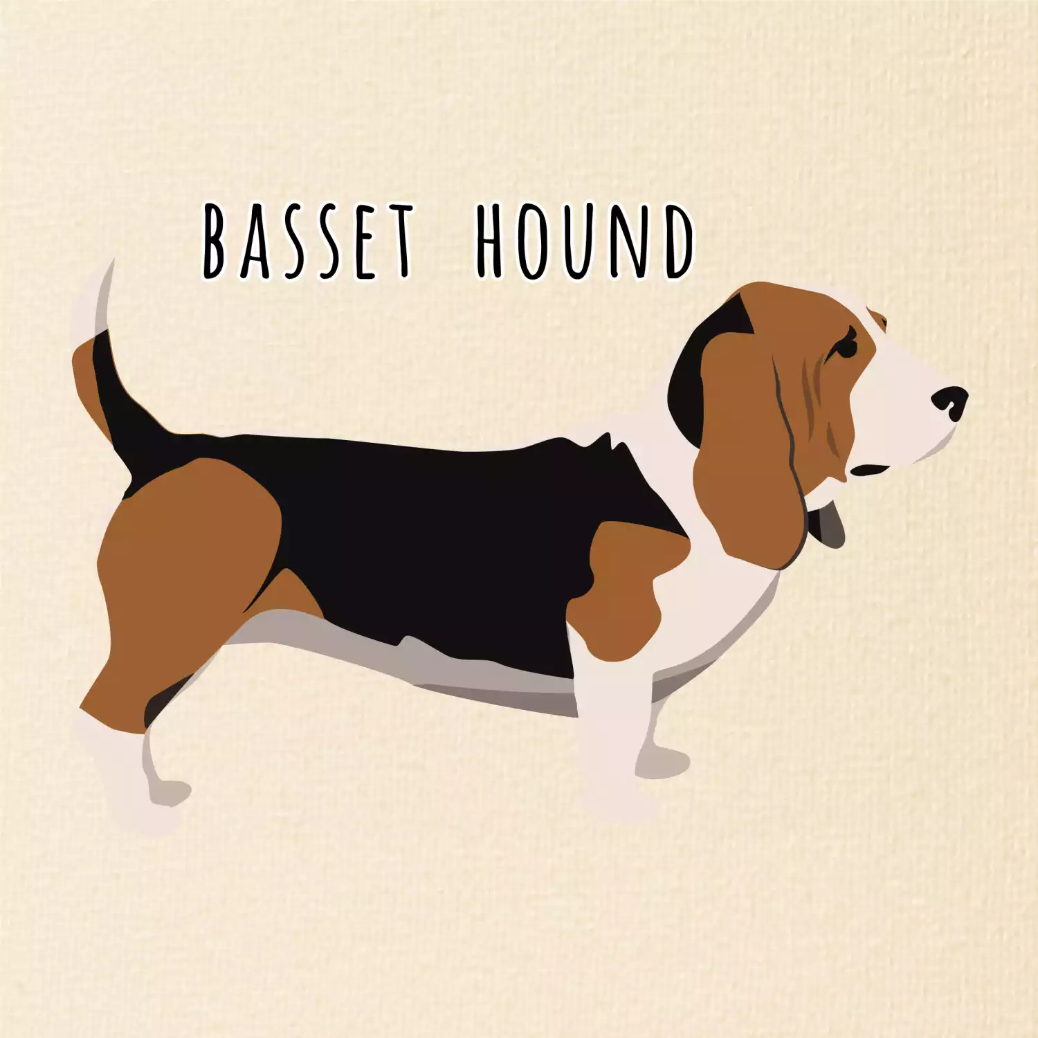 Basset hound pes s nápisem