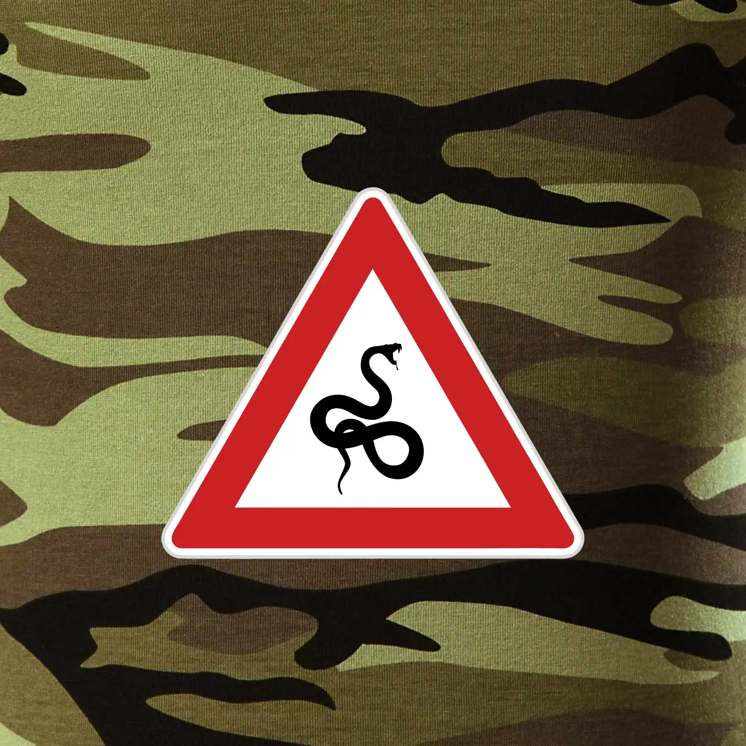 Dopravní značka - Pozor had