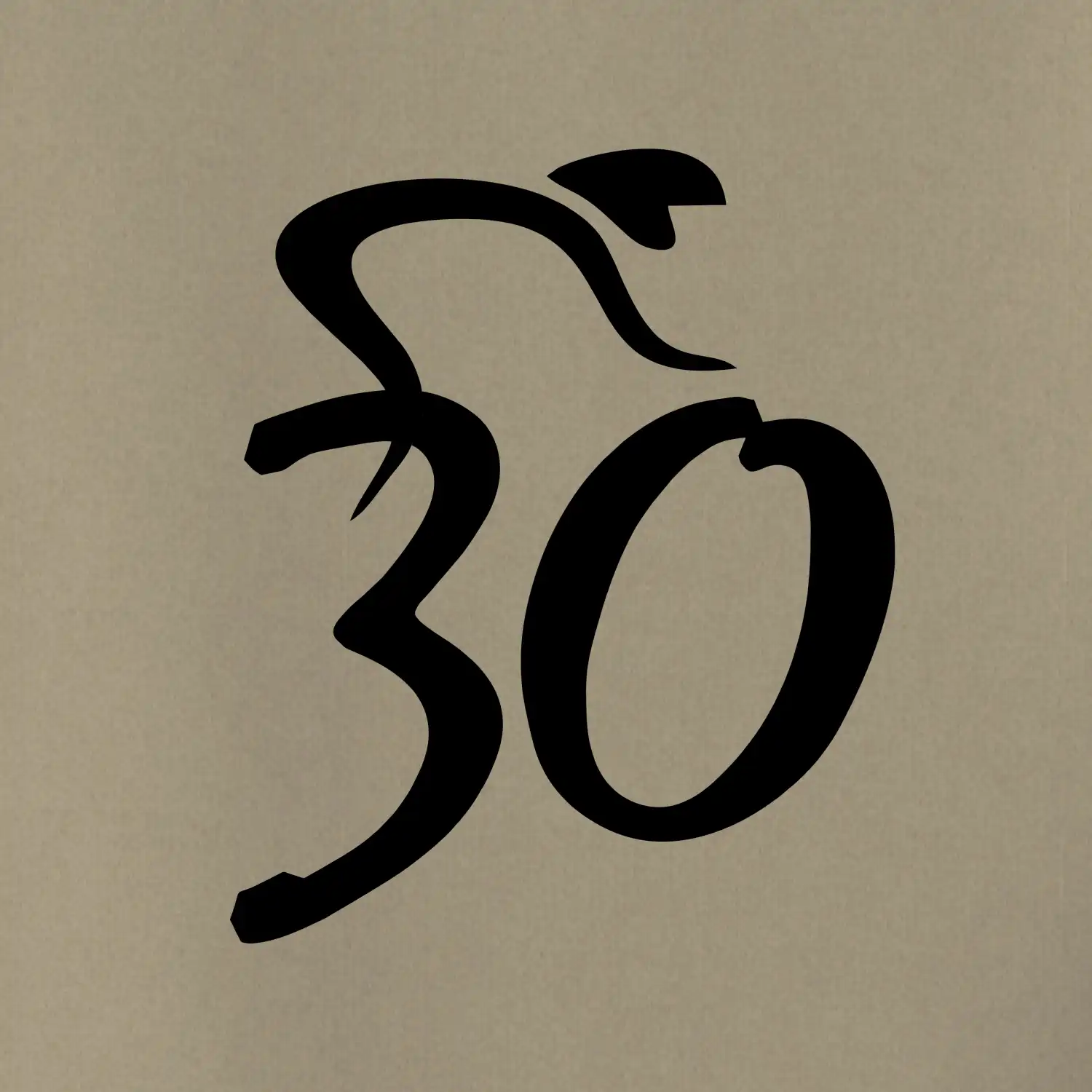 Cyklista slaví třicítku (30)