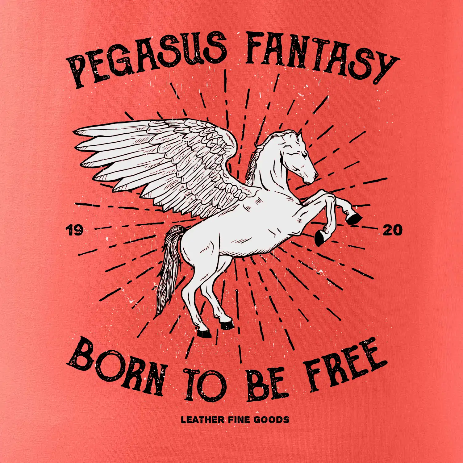 Pegasus fantasy
