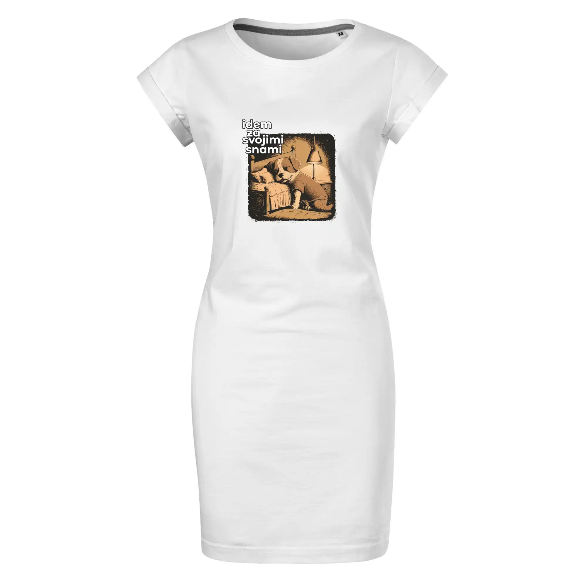 Idem za svojimi snami