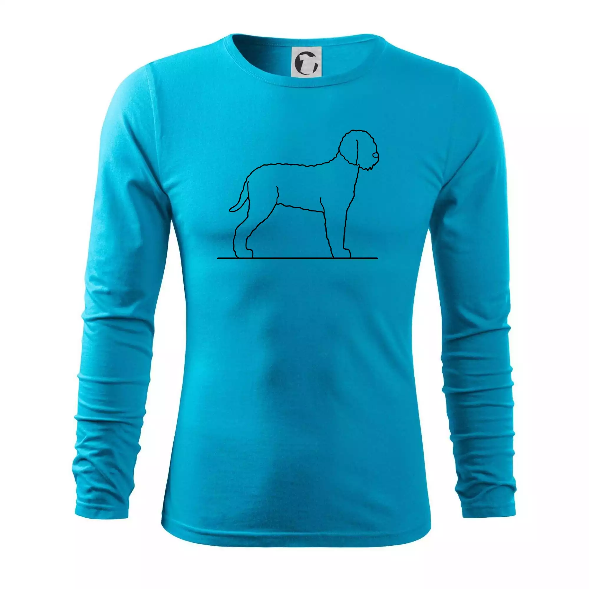 Lagotto romagnolo stojící