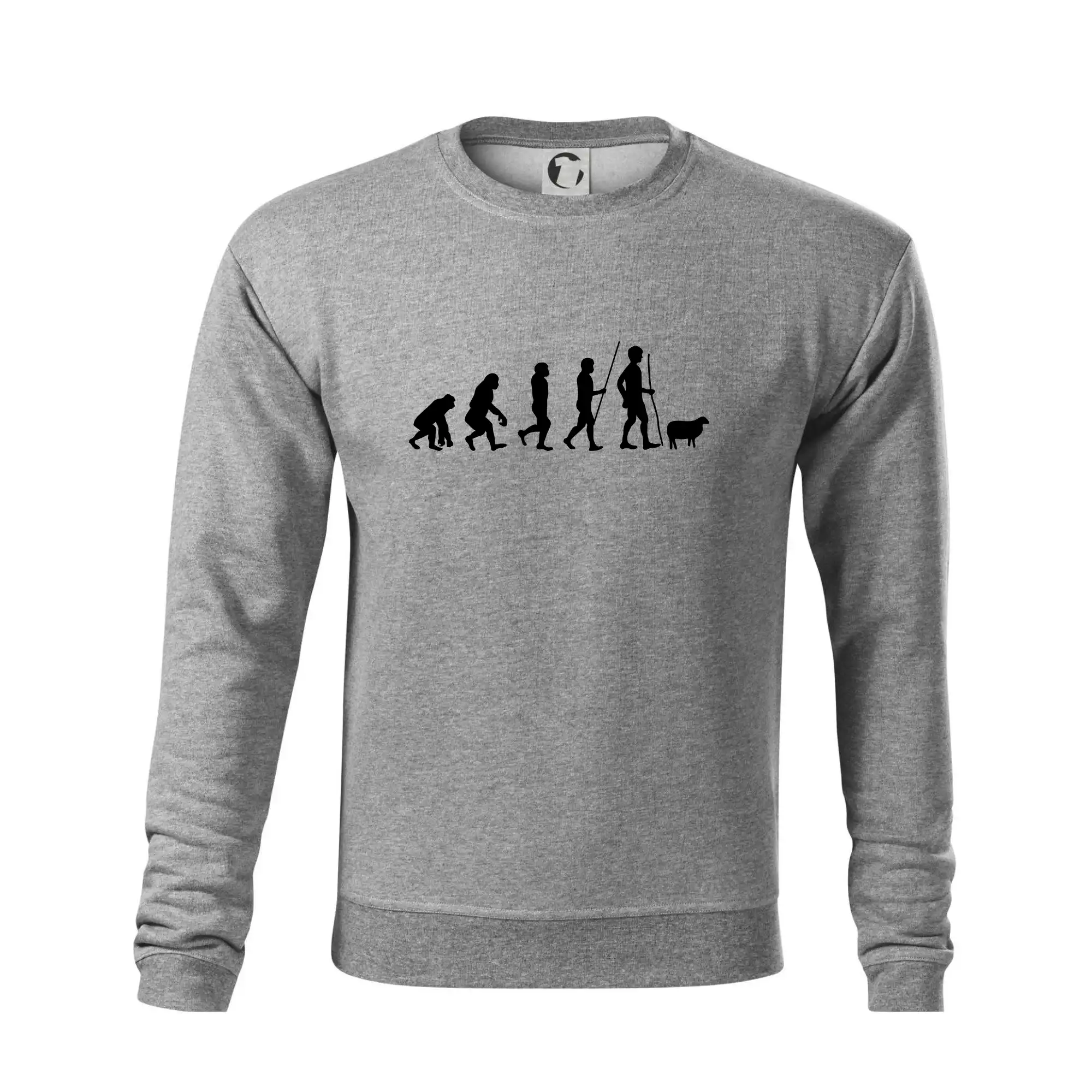 Evoluce pastevec ovcí