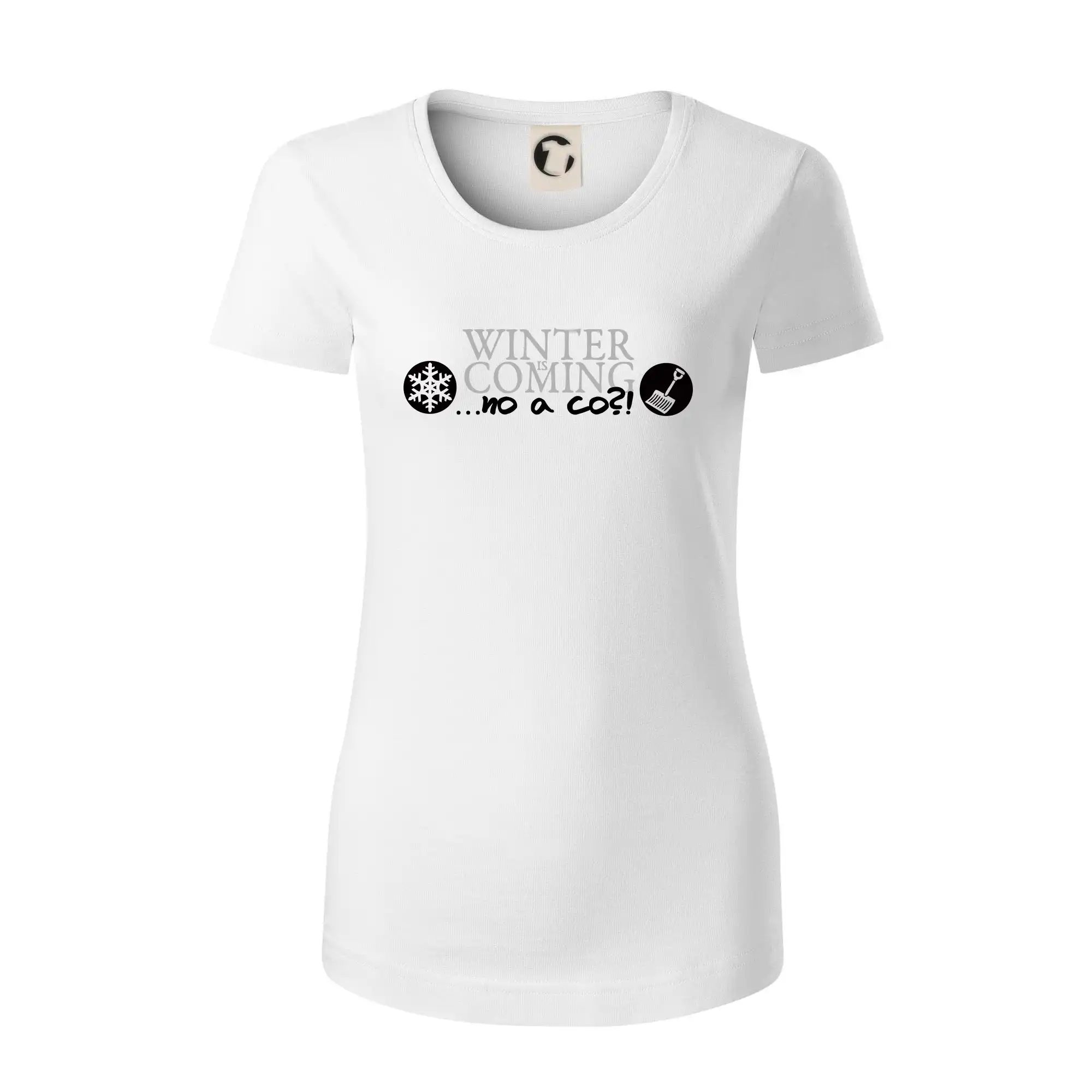 Winter Is Coming parodie