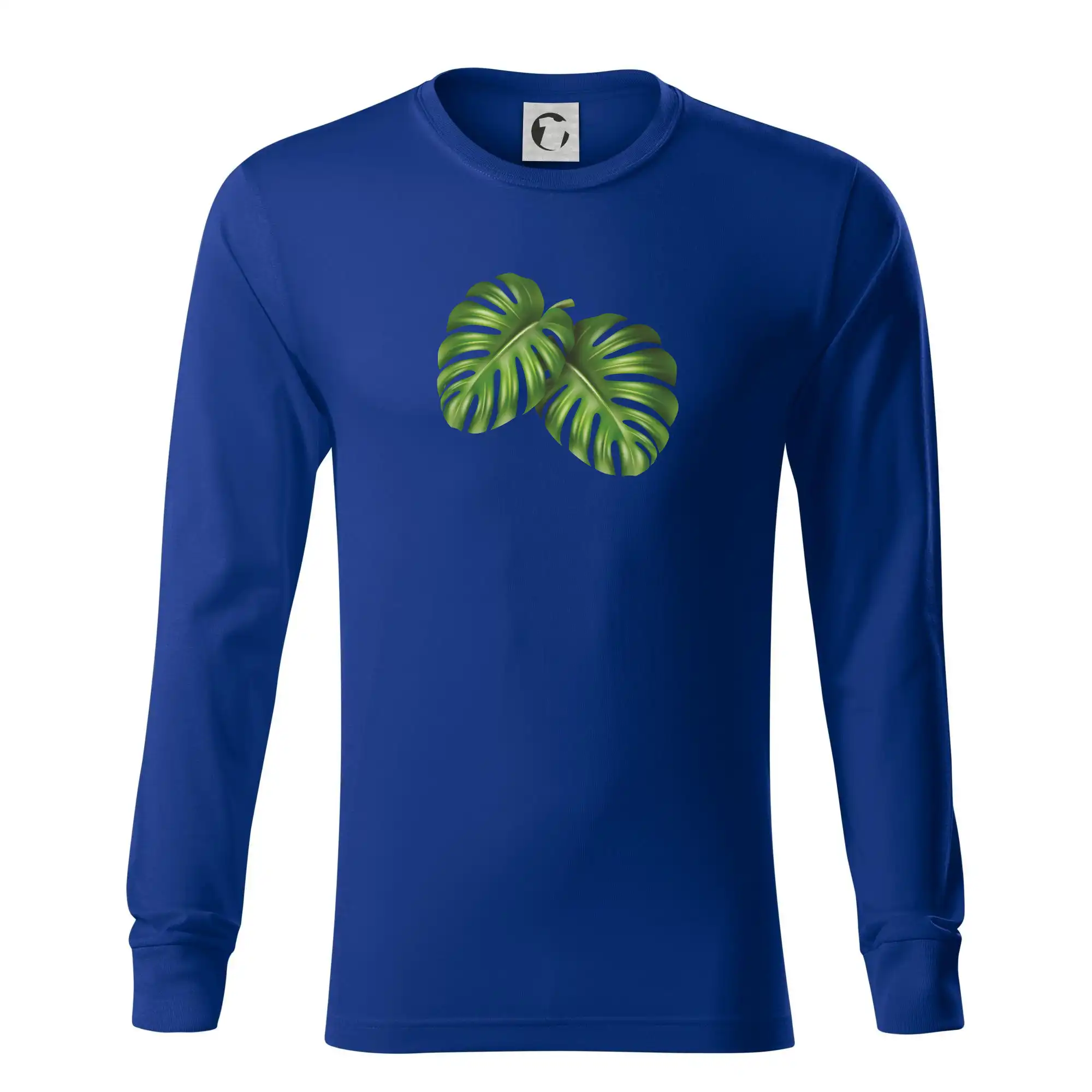 Monstera - dva listy