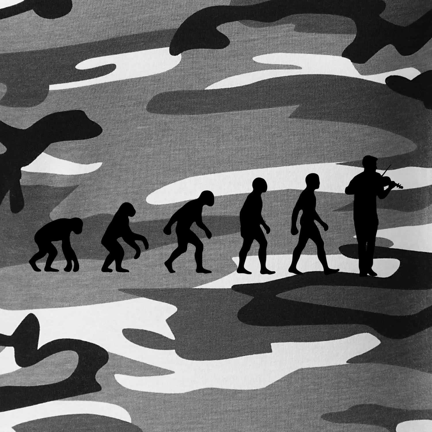 Evoluce houslista