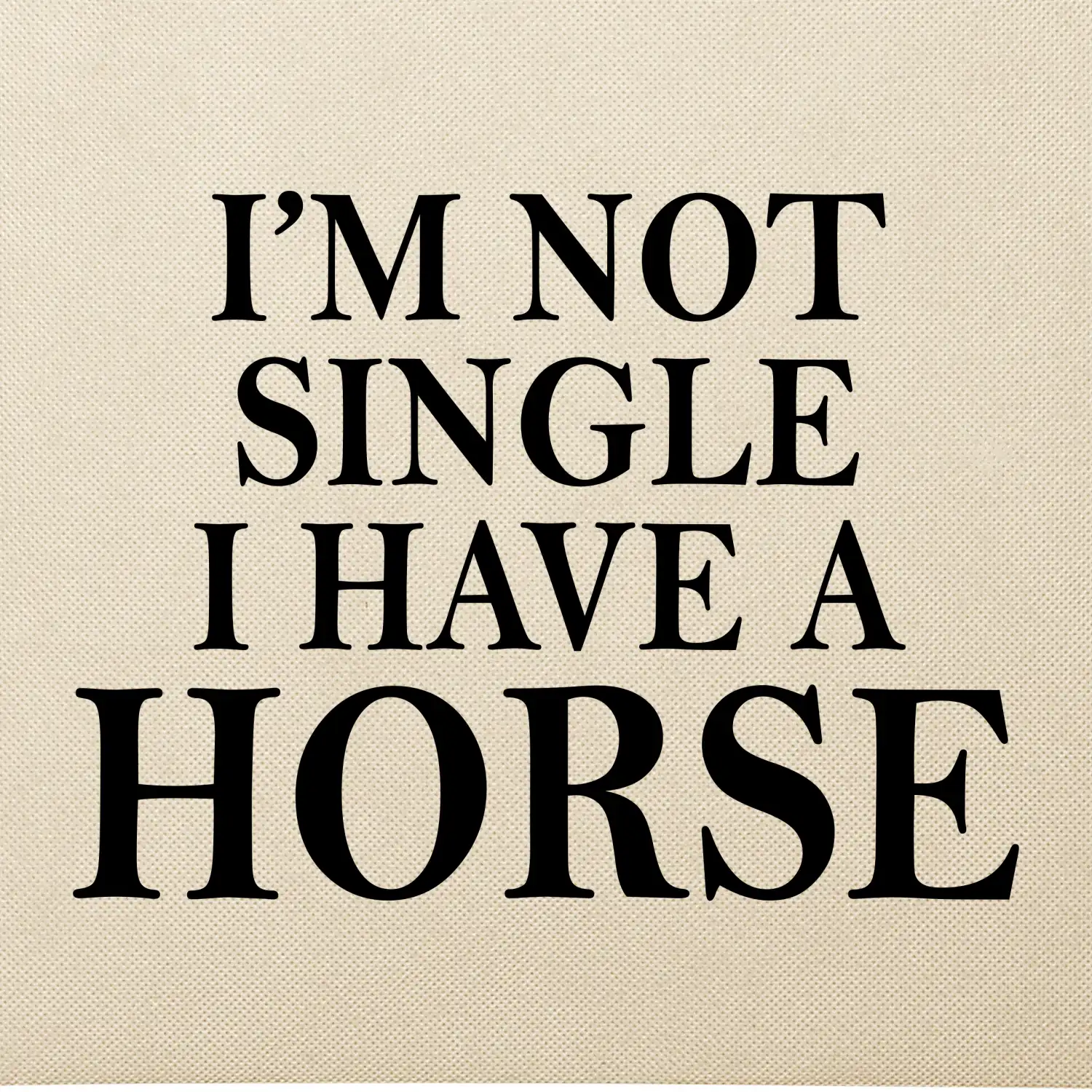 I have a horse - Nepotřebuji přítele