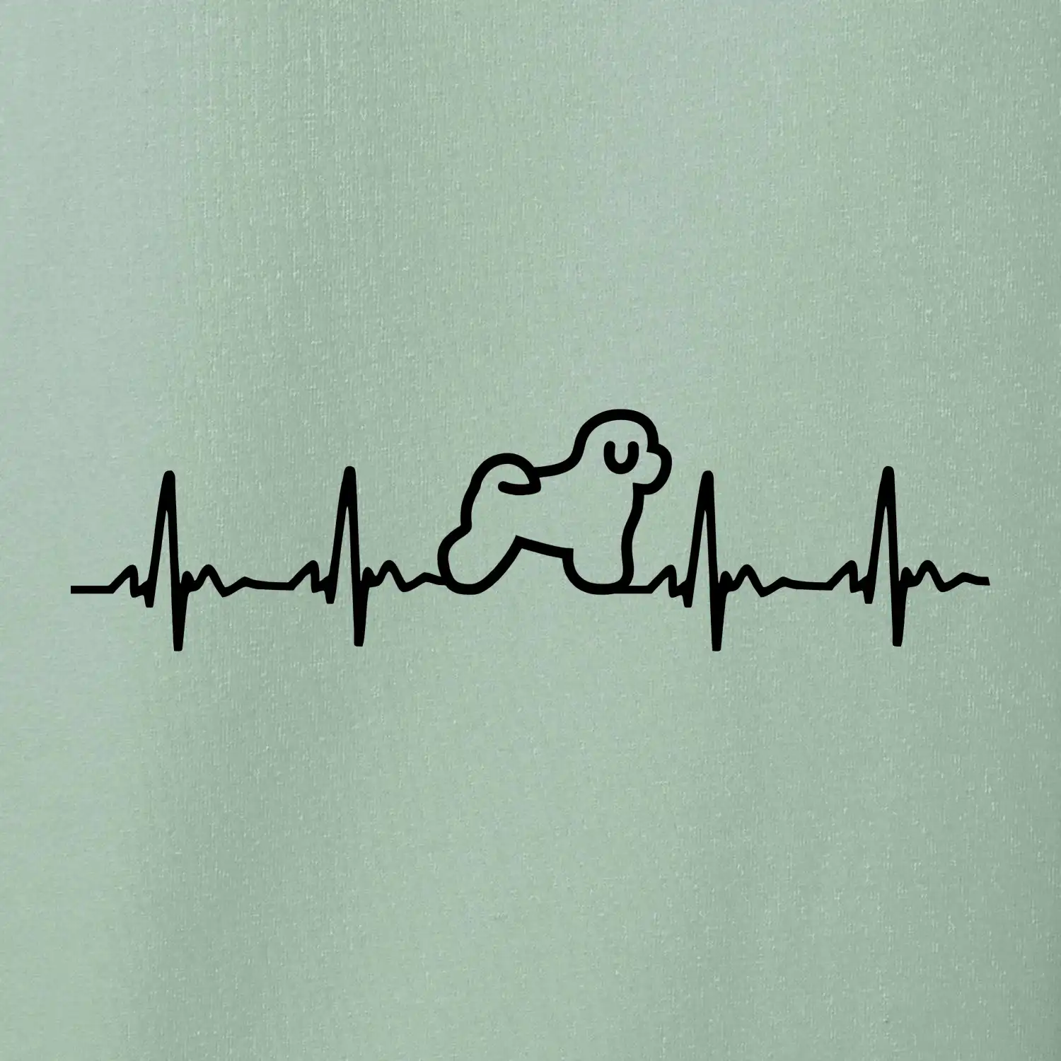 Bišonek ekg