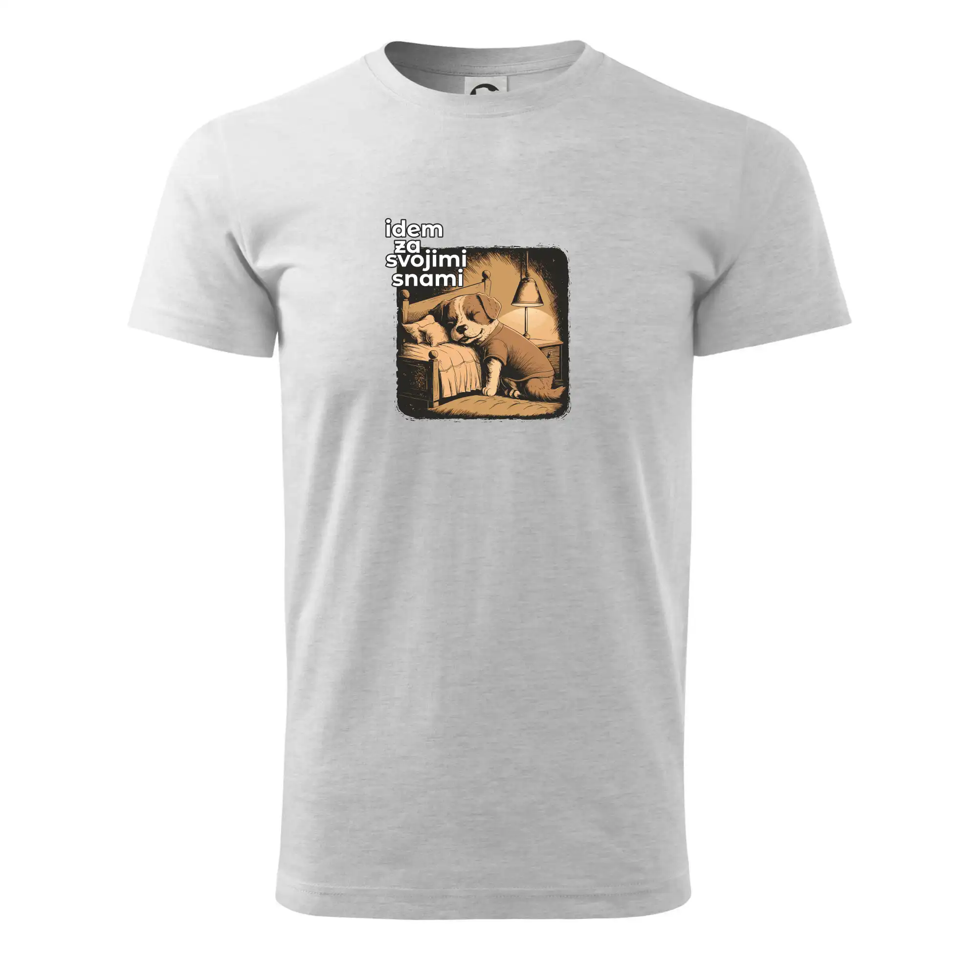 Idem za svojimi snami