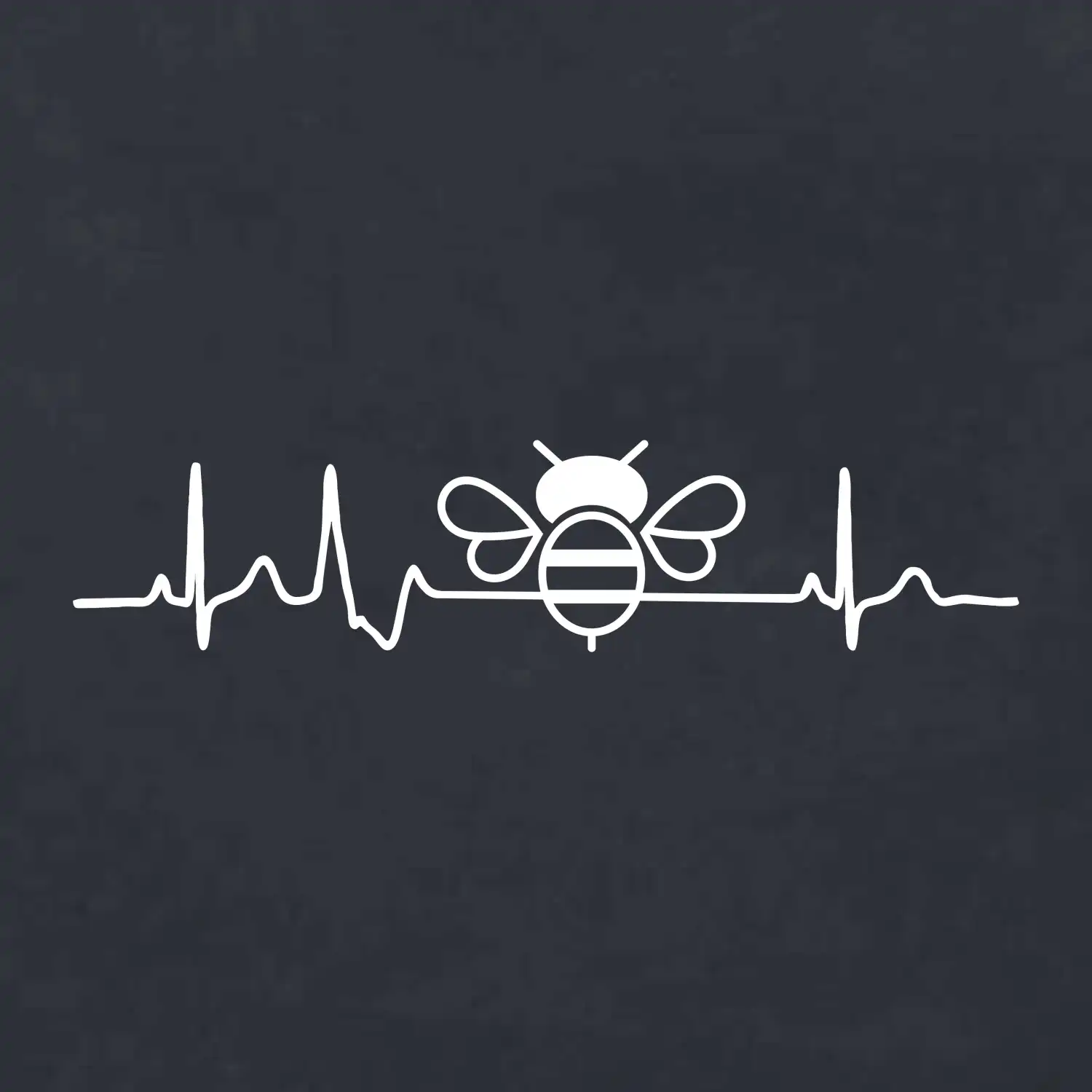 EKG včela