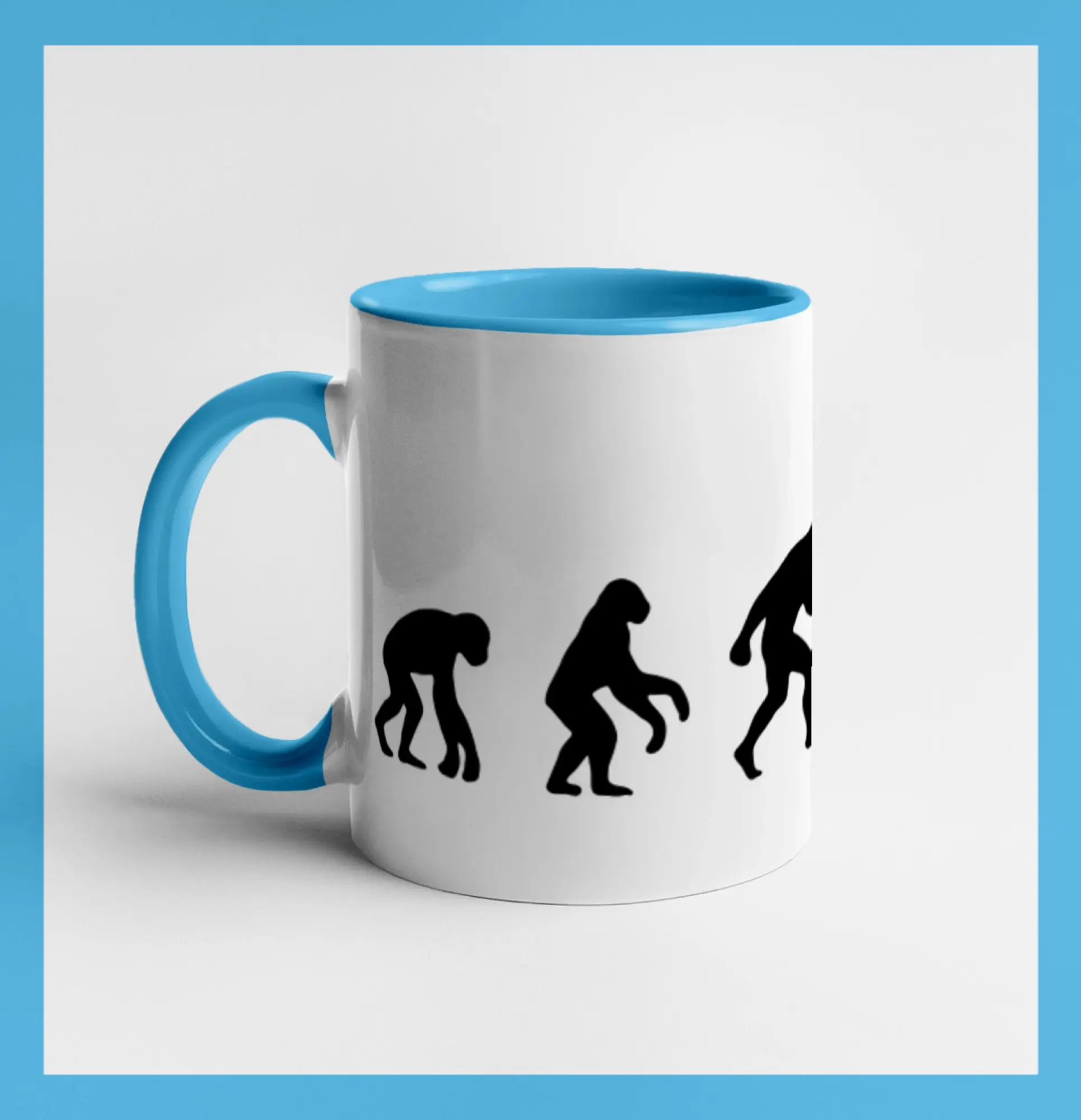 Evolúcia Bedminton