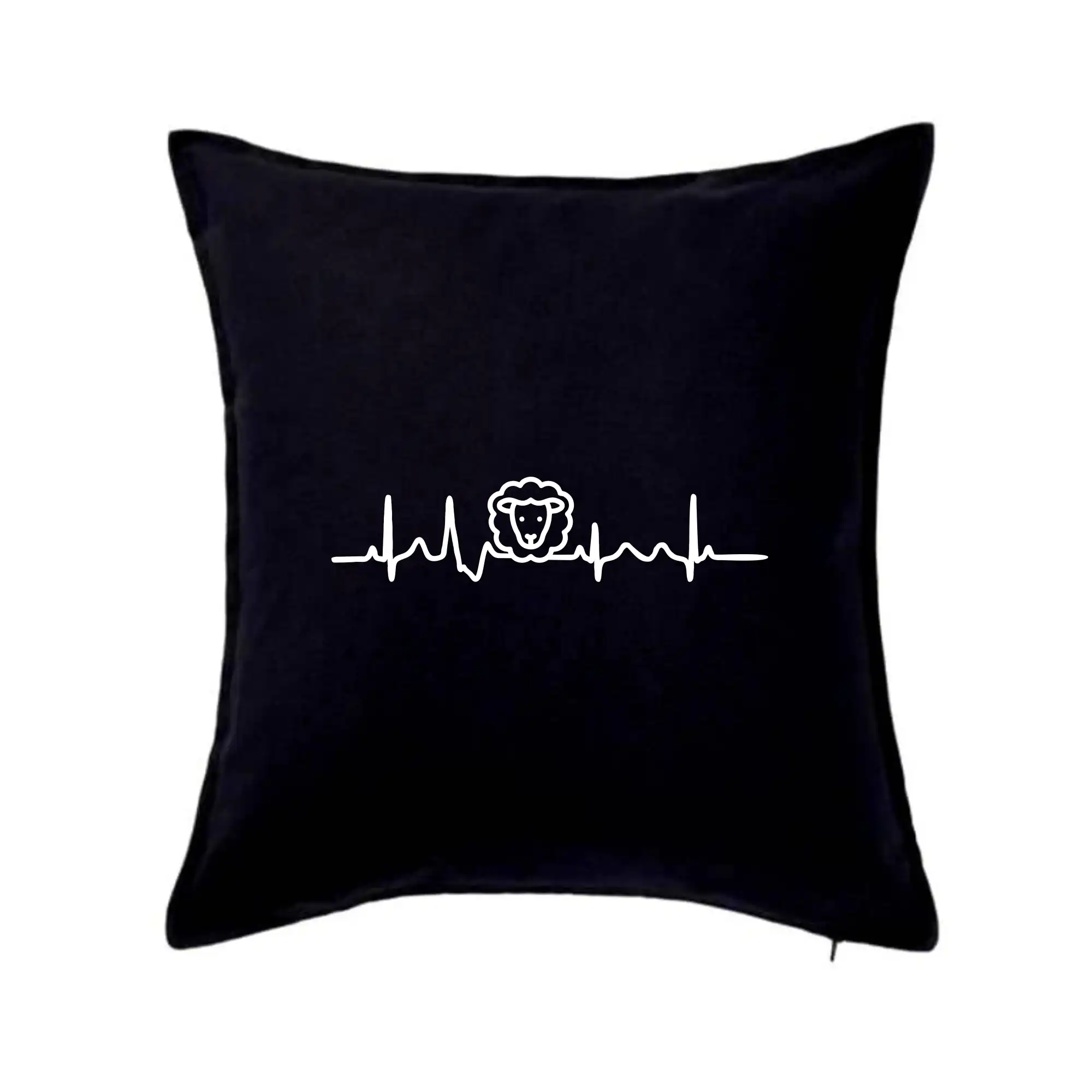 Ekg ovce