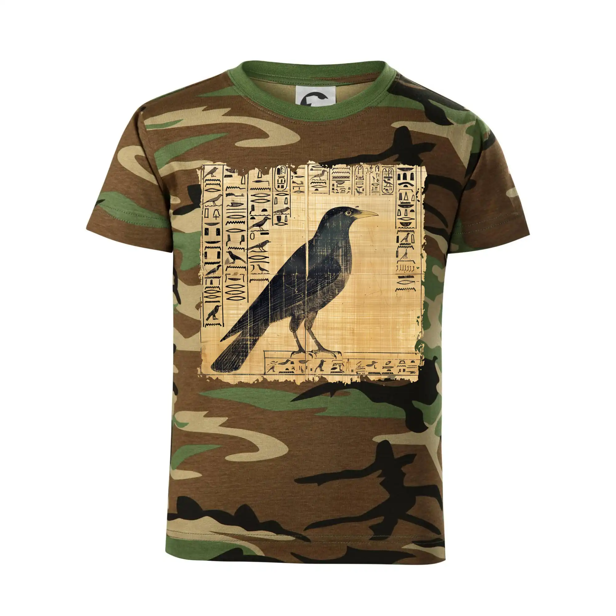 Egyptské hieroglyfy pták
