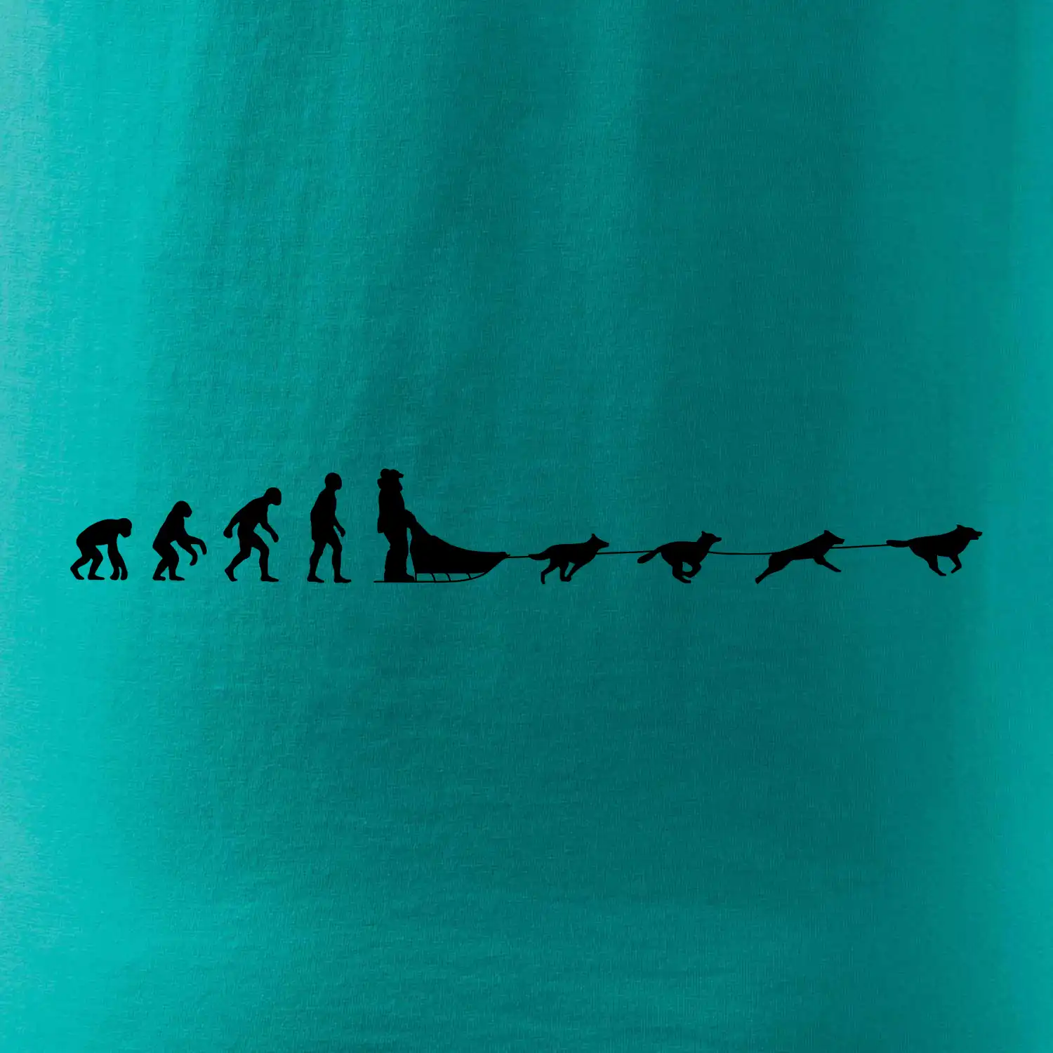 Evoluce psí spřežení