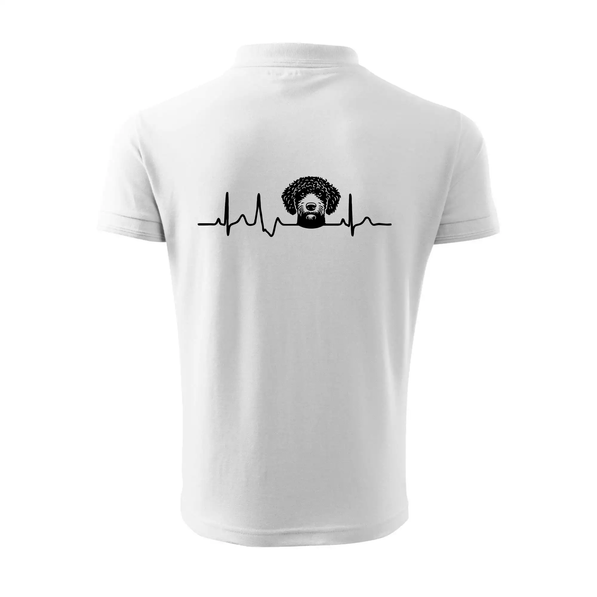 Lagotto romagnolo hlava EKG