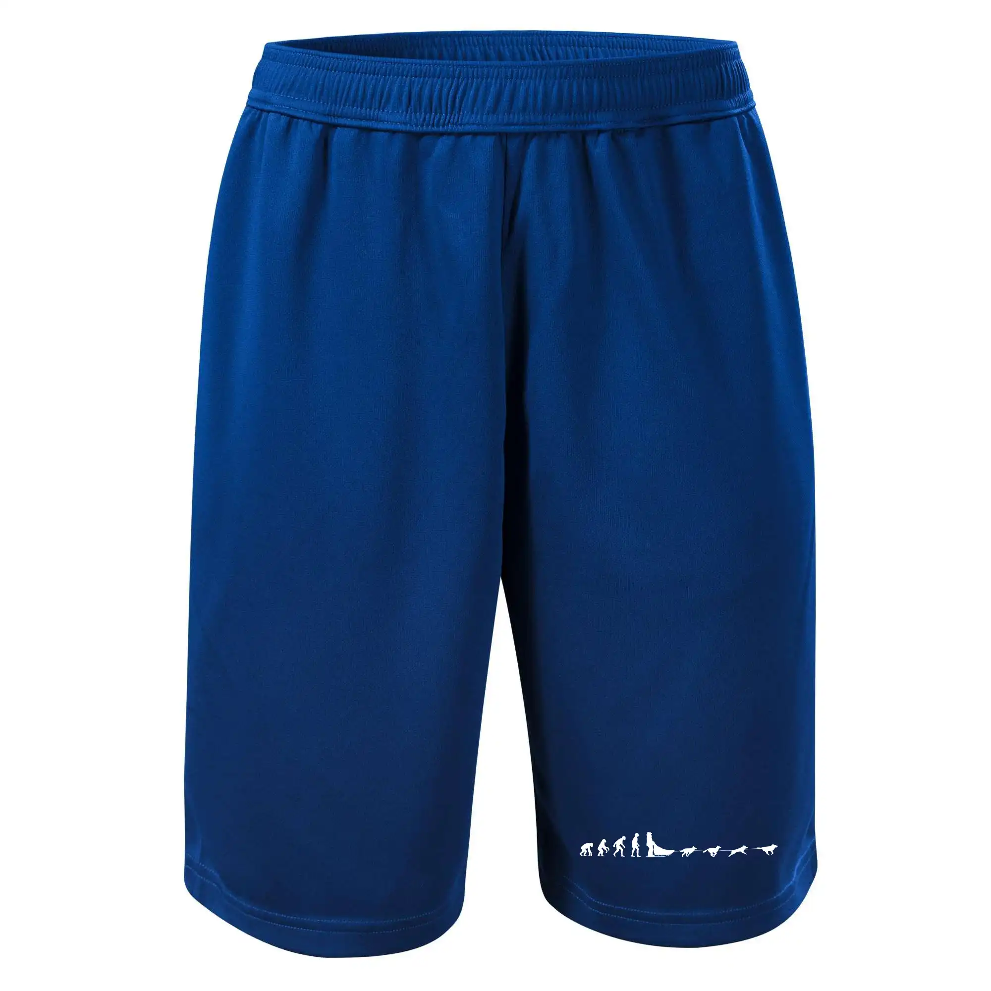 Evoluce psí spřežení