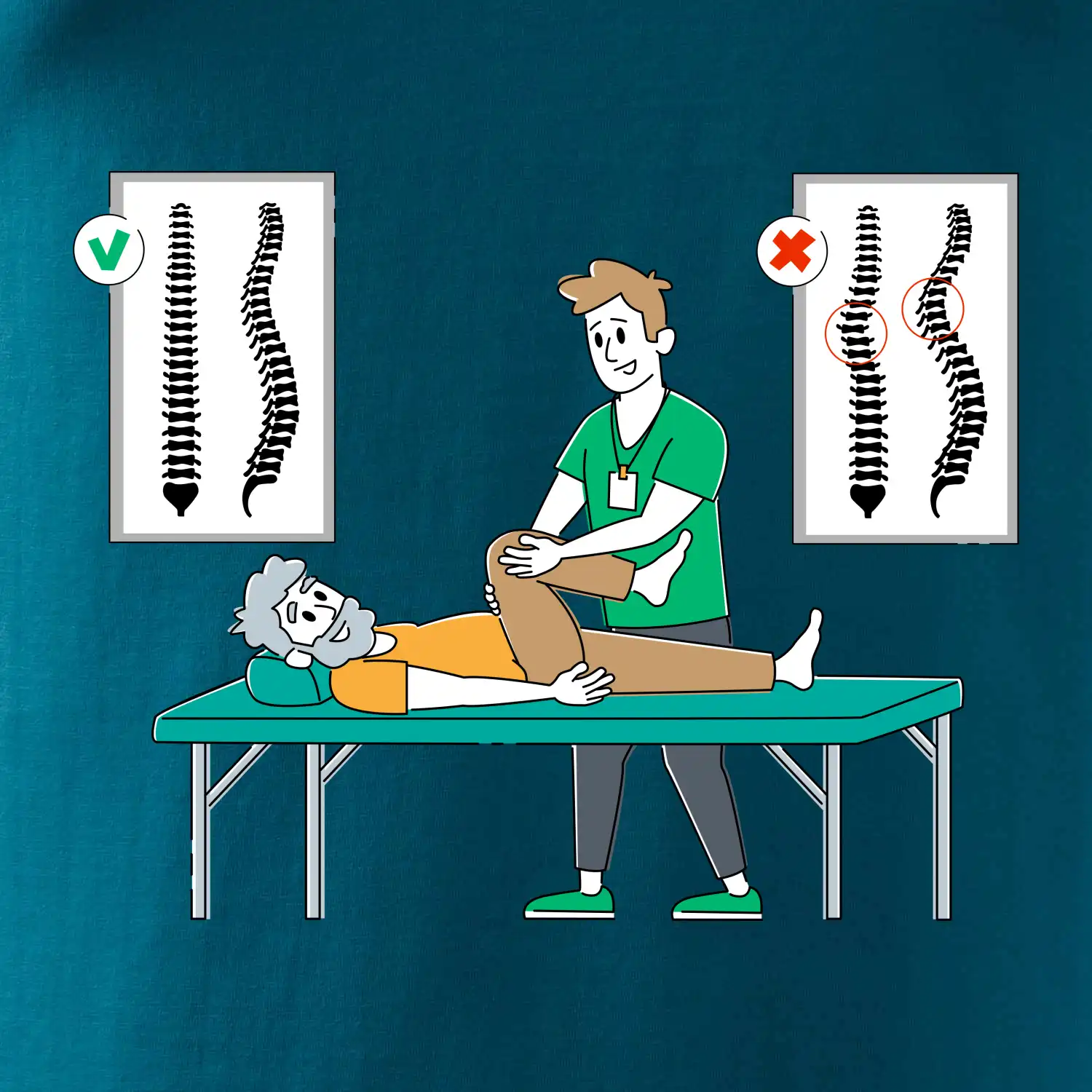 Fyziologické zakřivení páteře