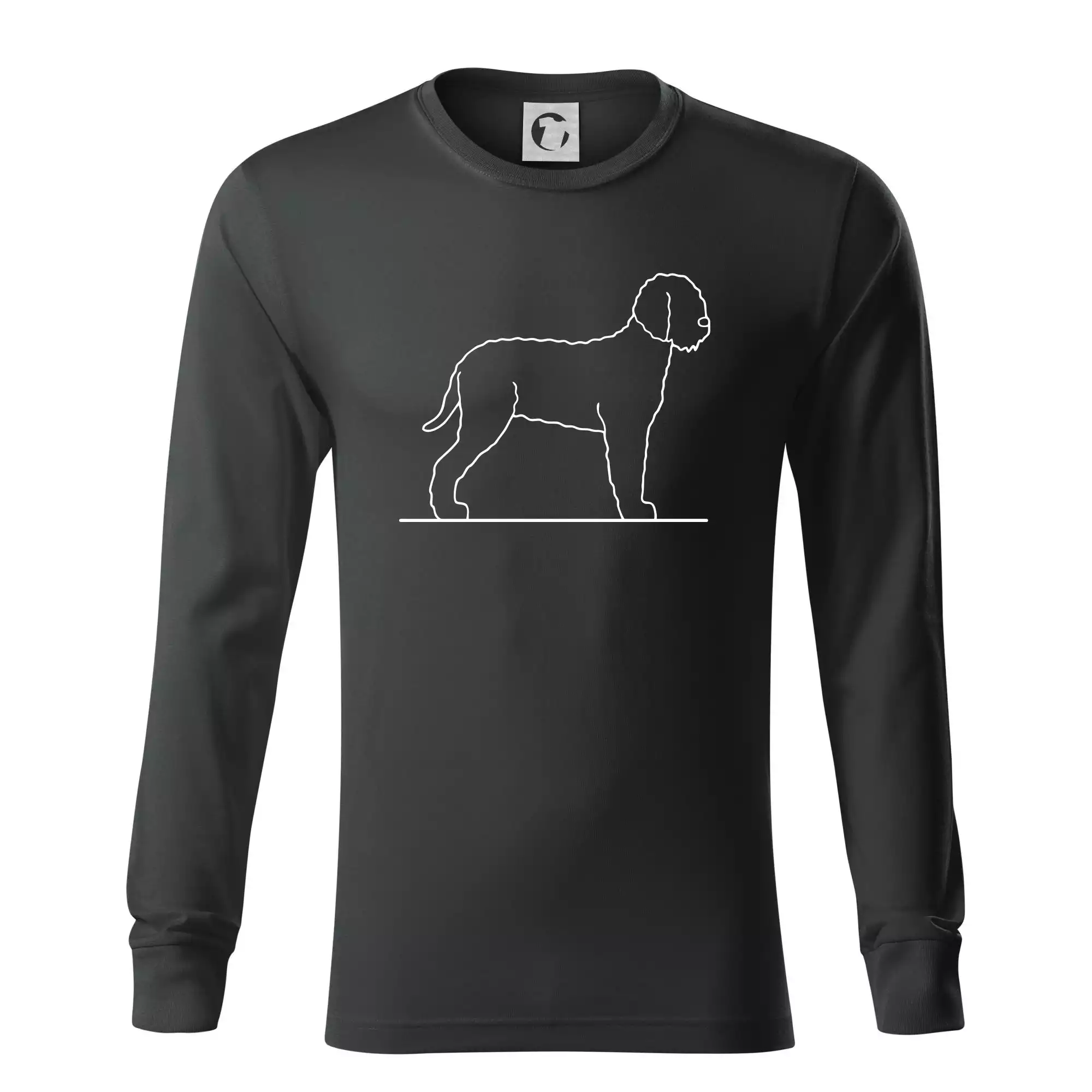 Lagotto romagnolo stojící