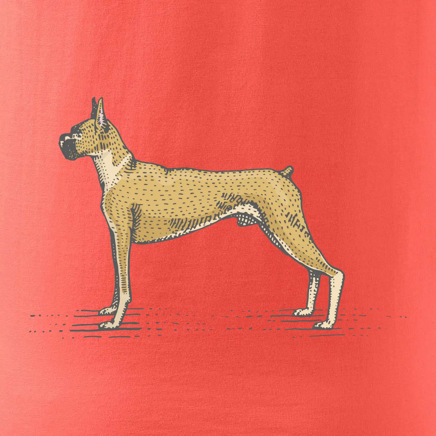Vintage Boxer