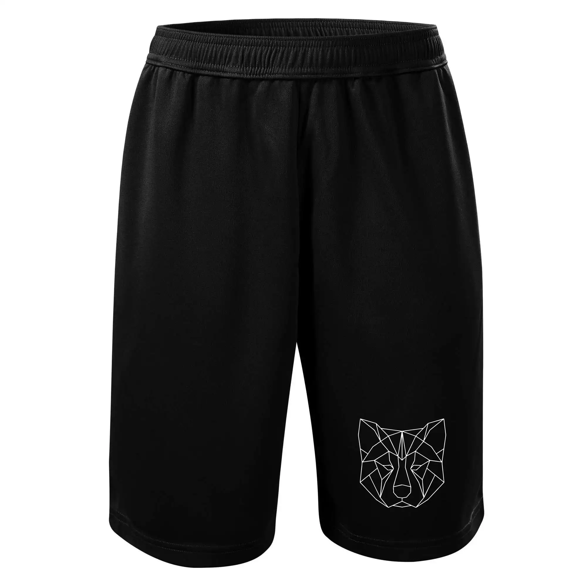 Akita Inu - Geometrie