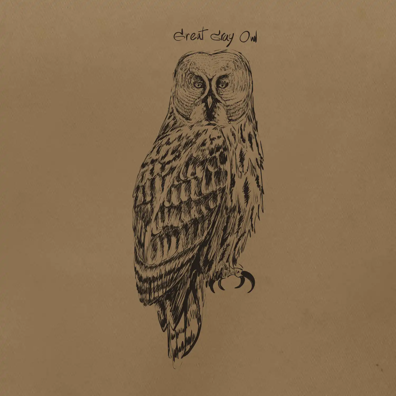 Puštík vousatý great gray owl