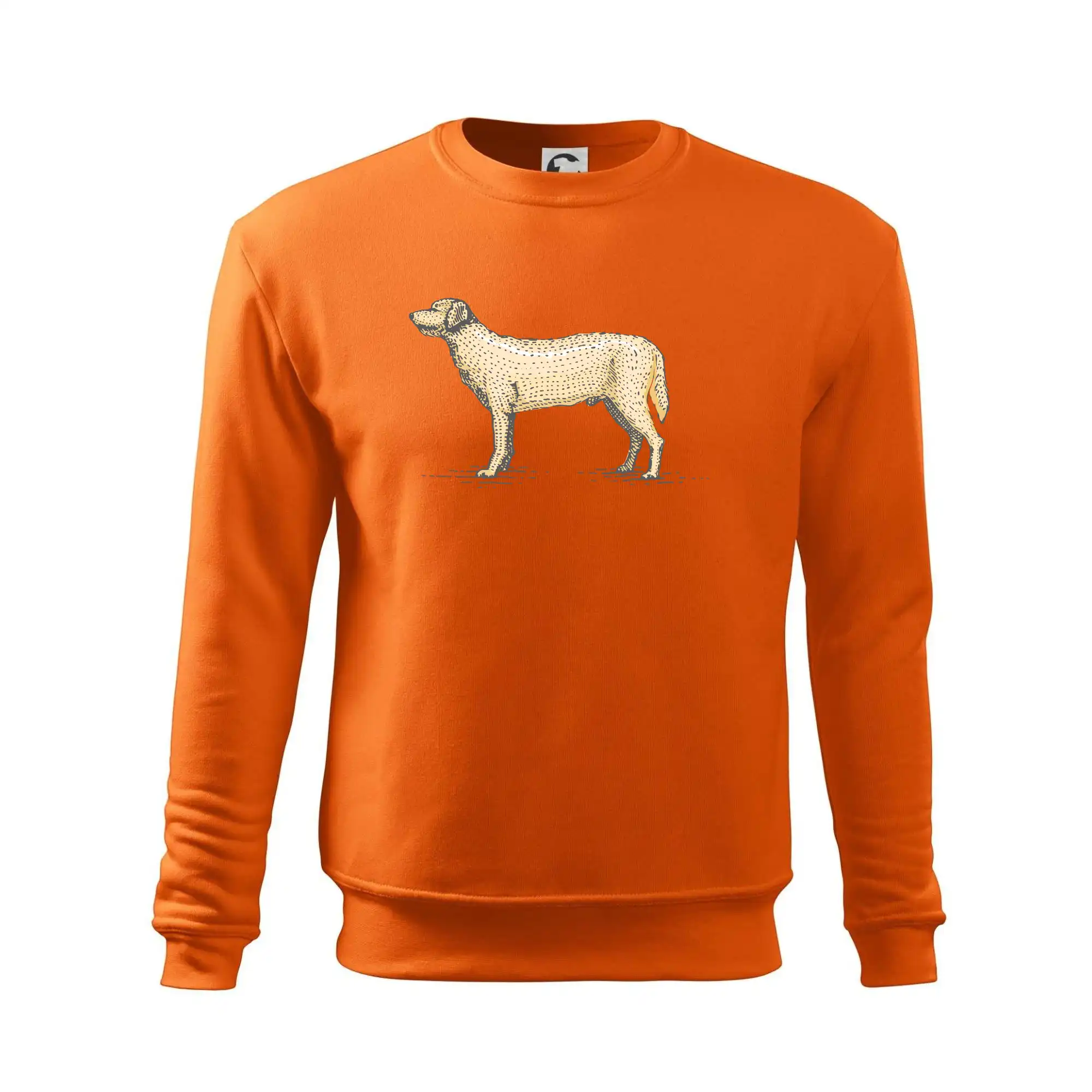 Vintage Labrador