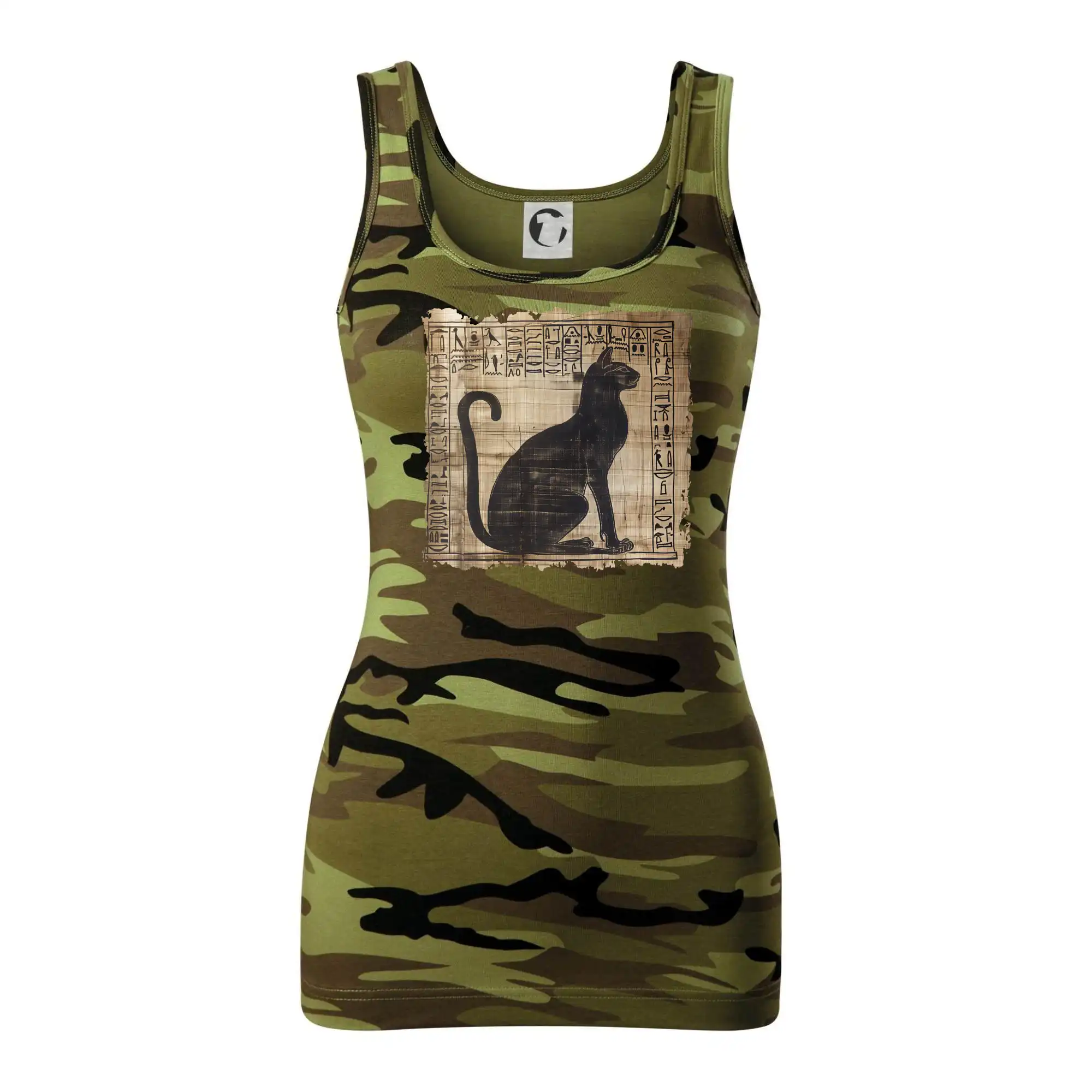 Egyptské hieroglyfy kočka