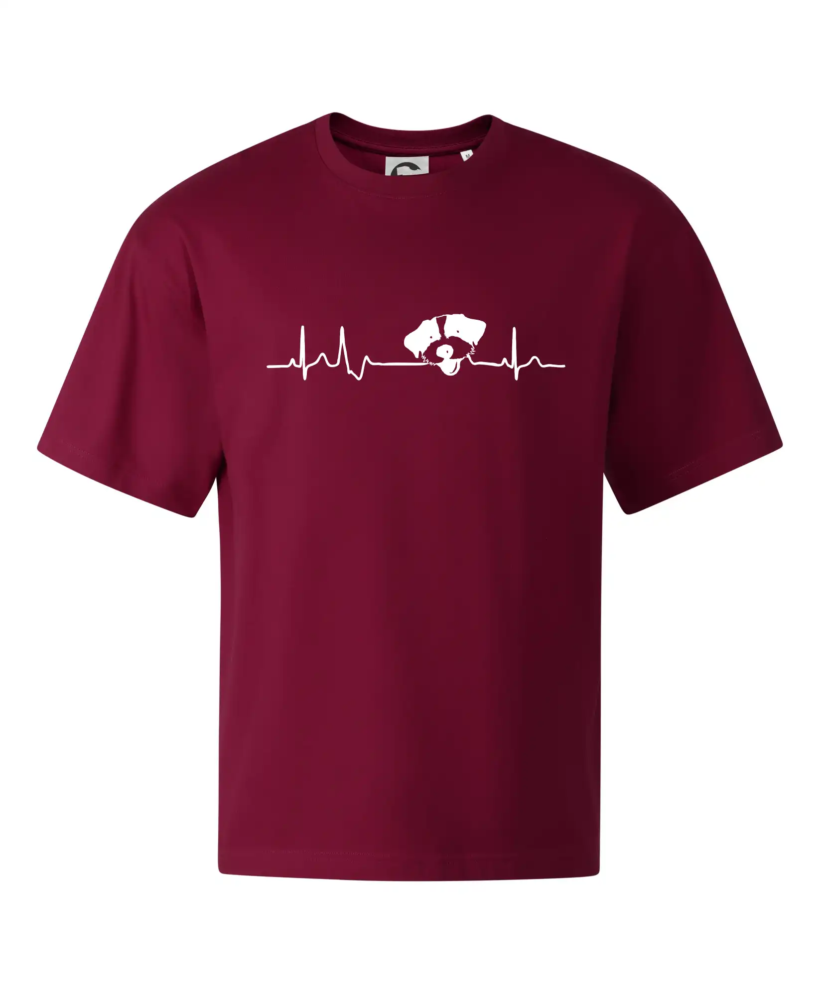 Jack Russell Terriér hrubosrstý Ekg