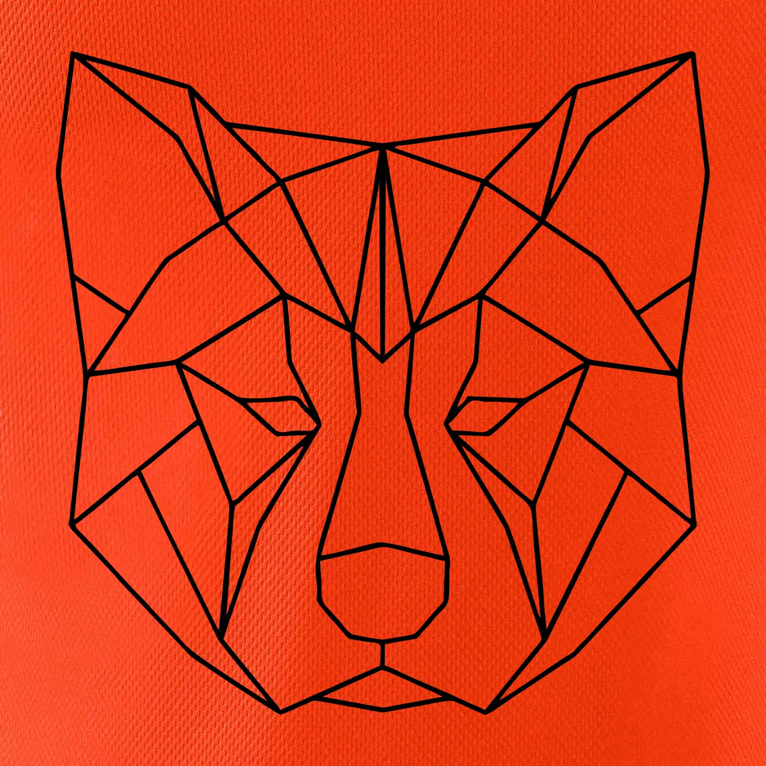 Akita Inu - Geometrie