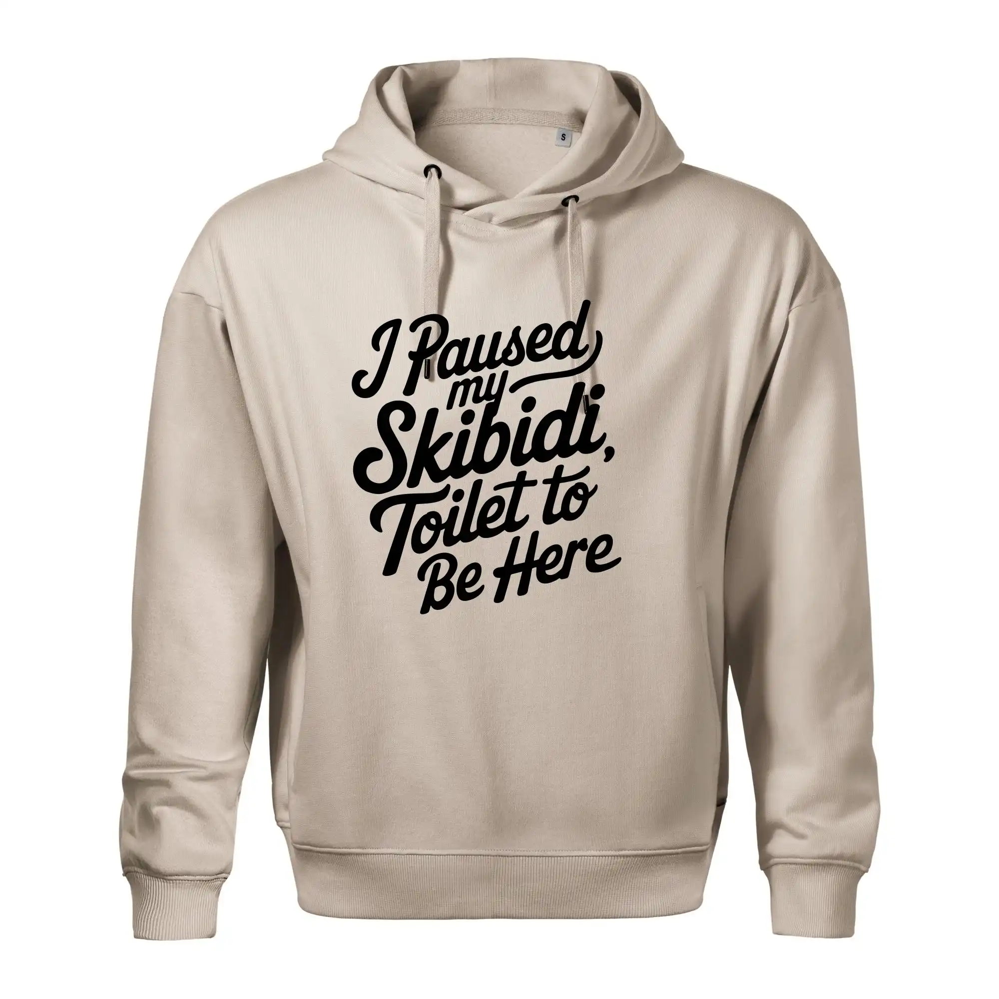 I Paused My Skibidi Toilet to be Here