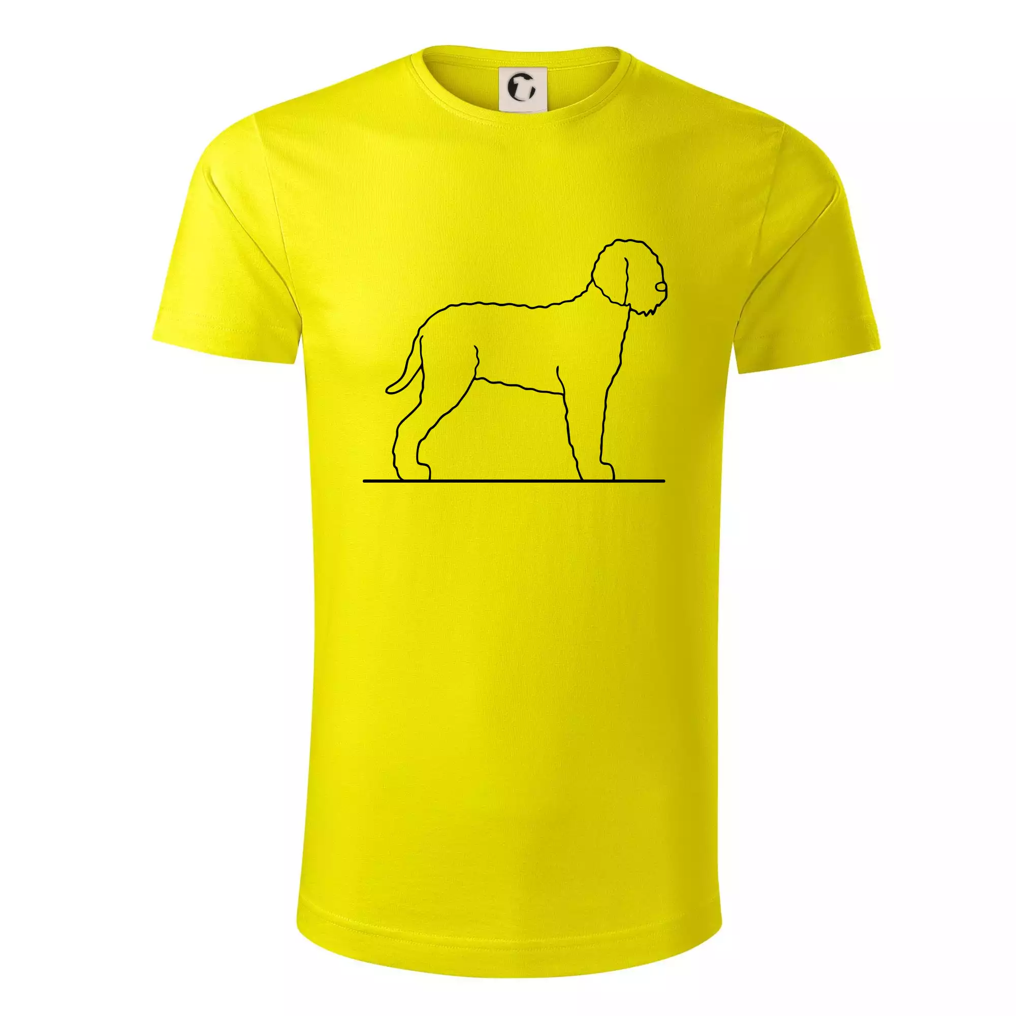 Lagotto romagnolo stojící