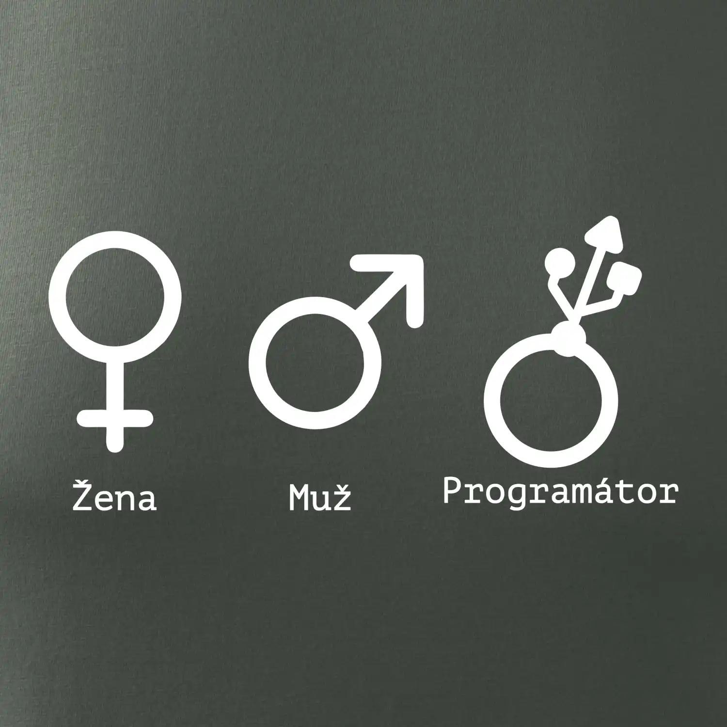 Muž žena programátor