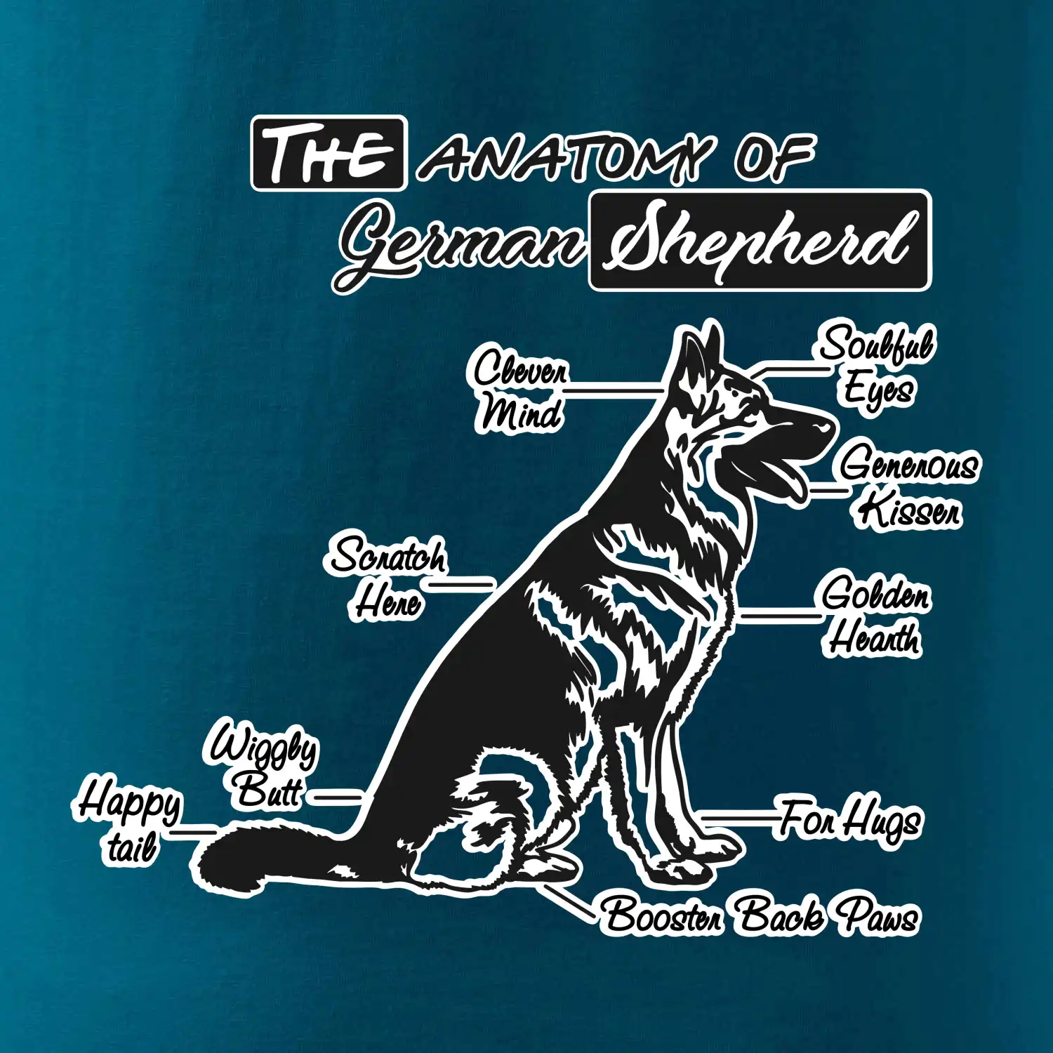 Německý ovčák - Anatomie