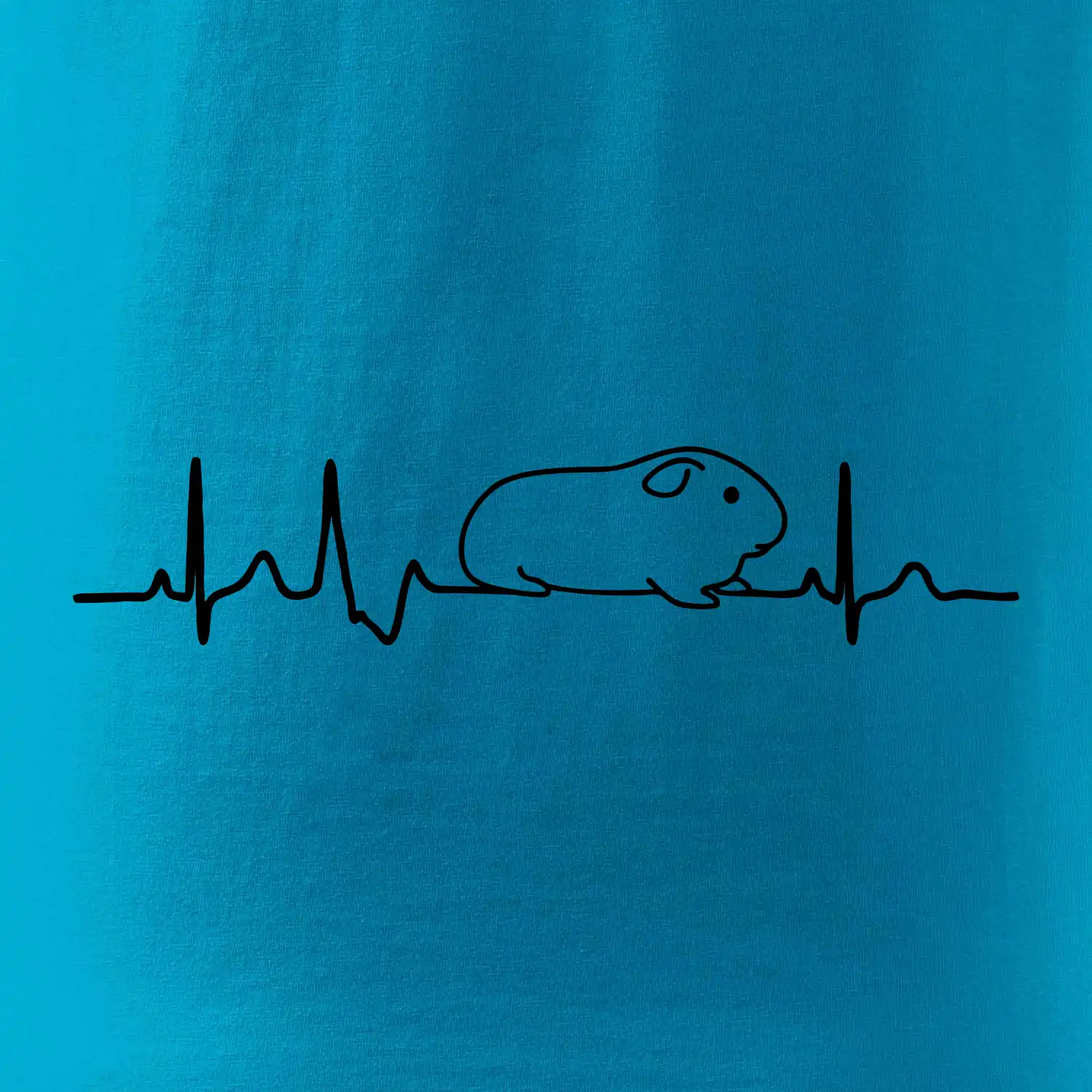 EKG morče