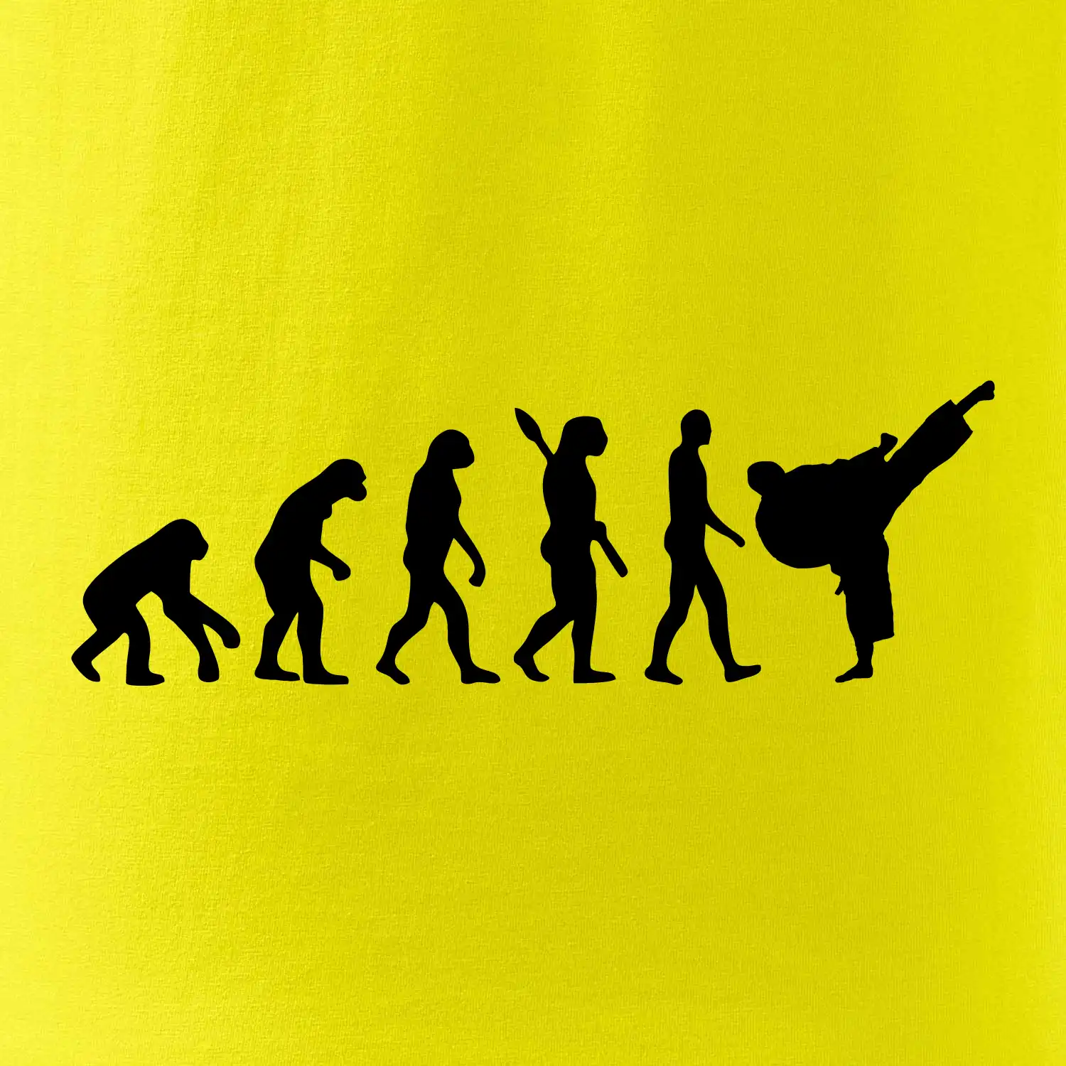 Karate Evoluce - kop