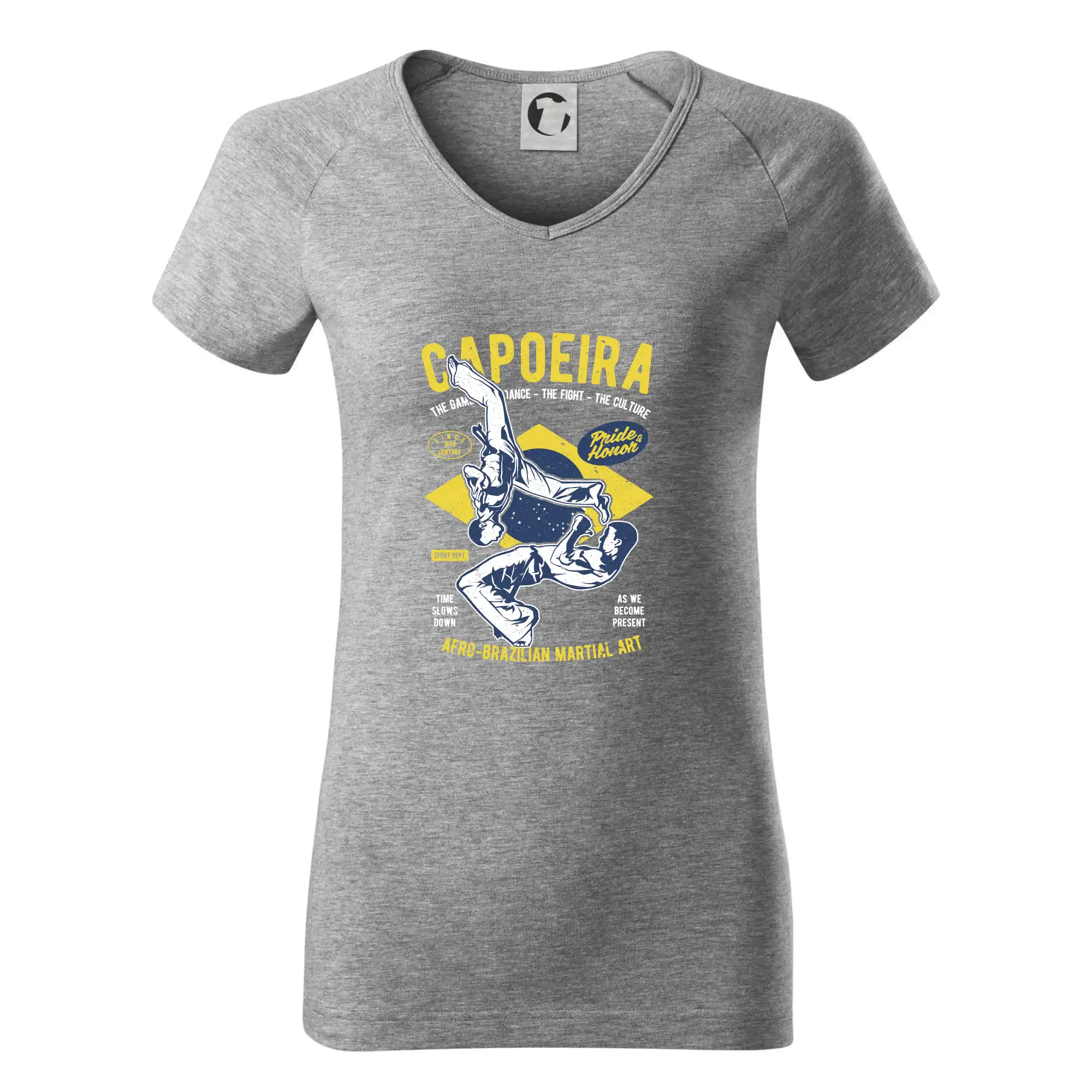 Capoeira  Afro-brazil art