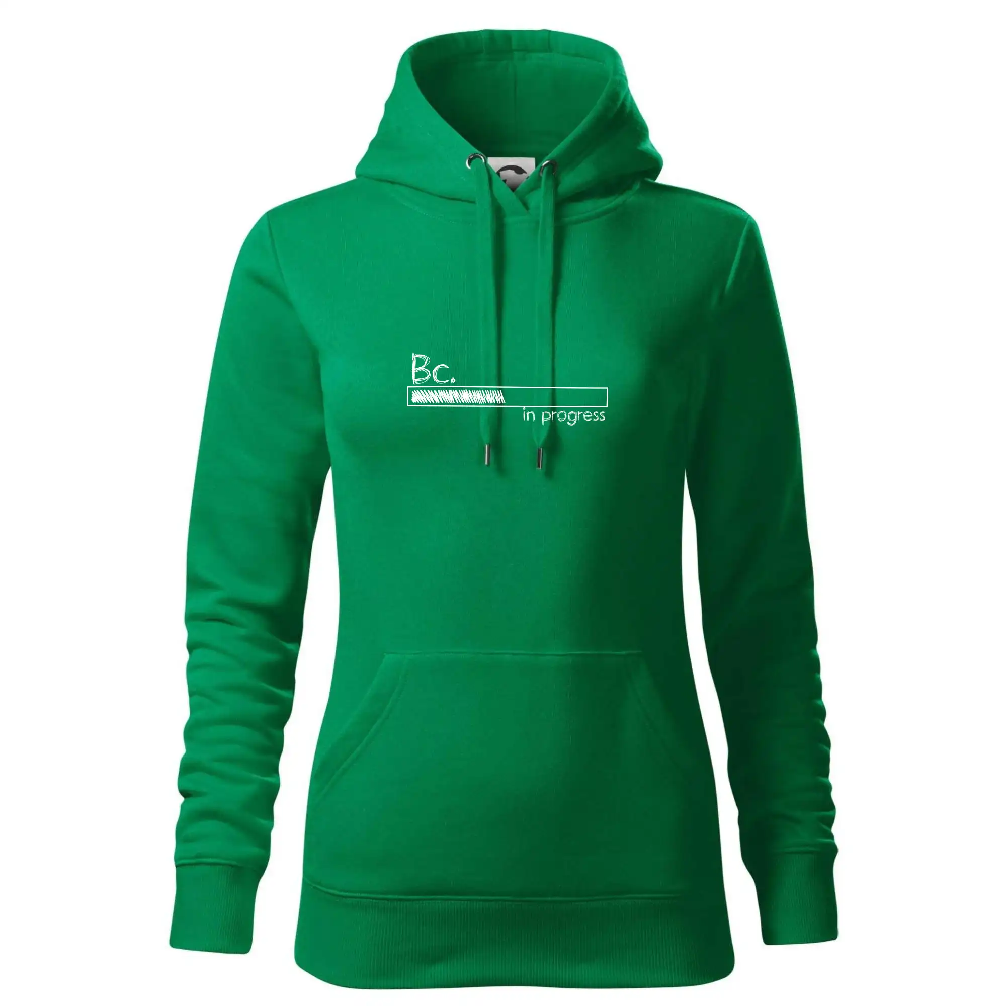 In progress  titul Bc. bakalář / bakalářka