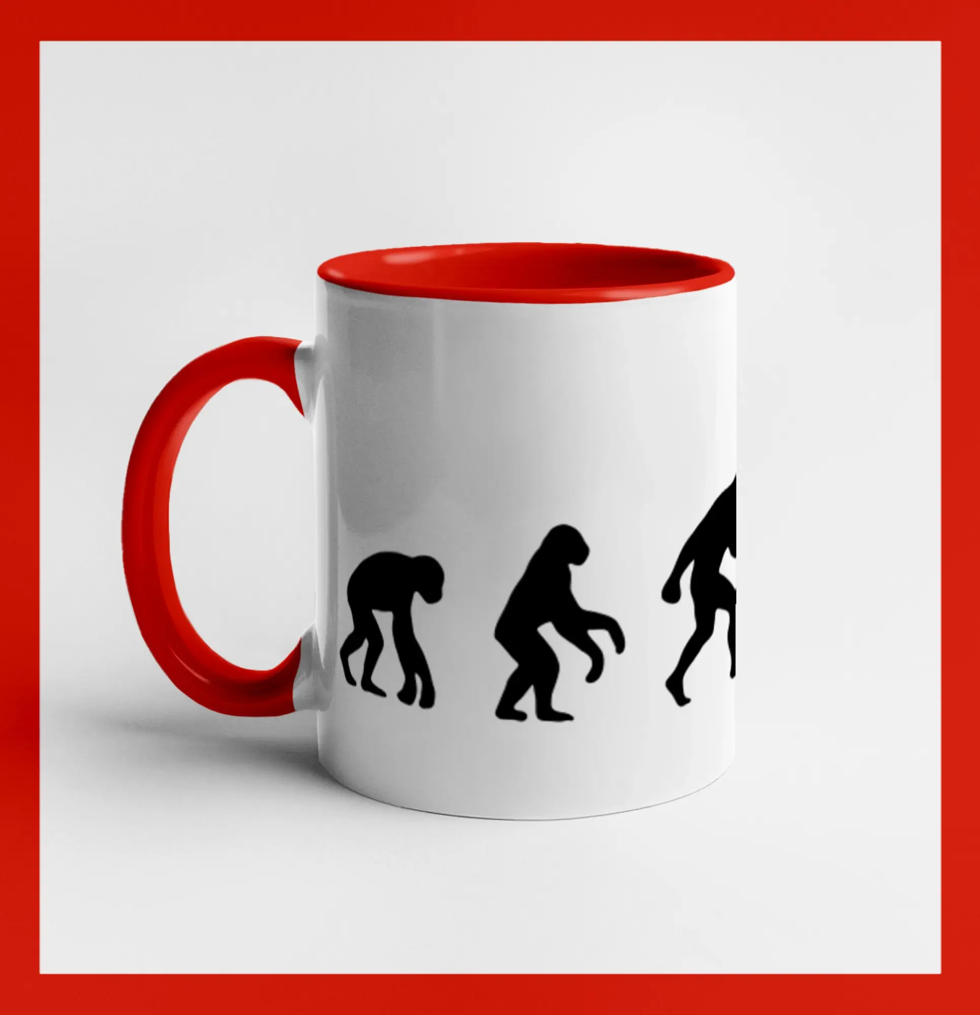 Evolúcia Bedminton
