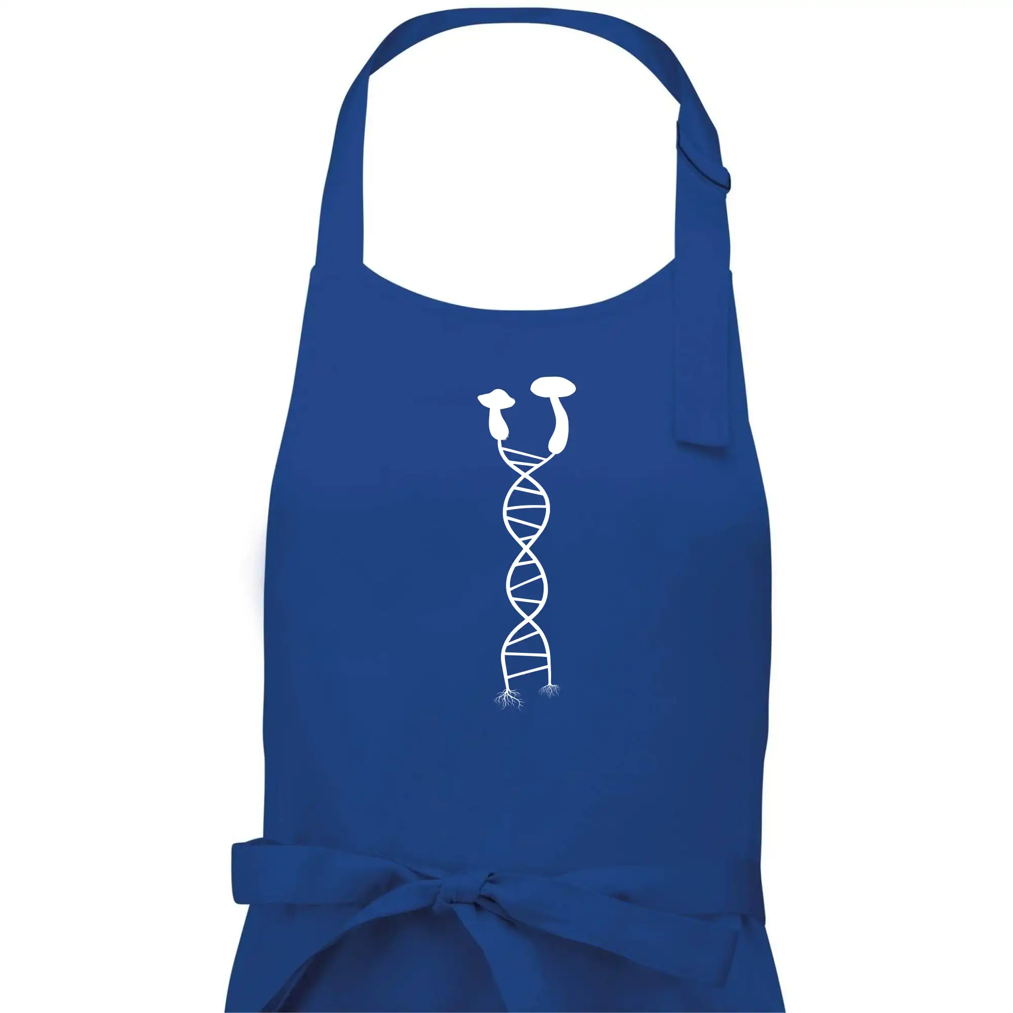 DNA houby