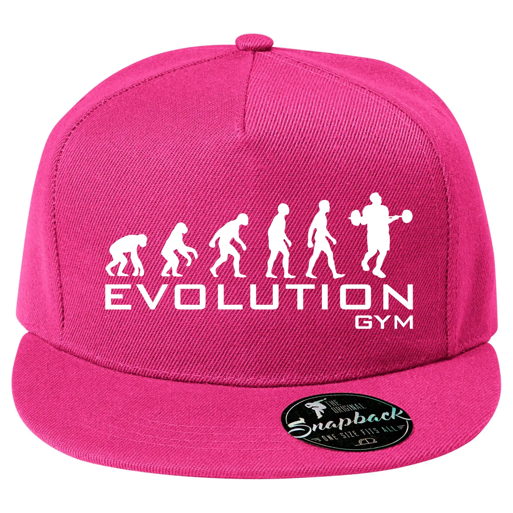Evoluce Gym