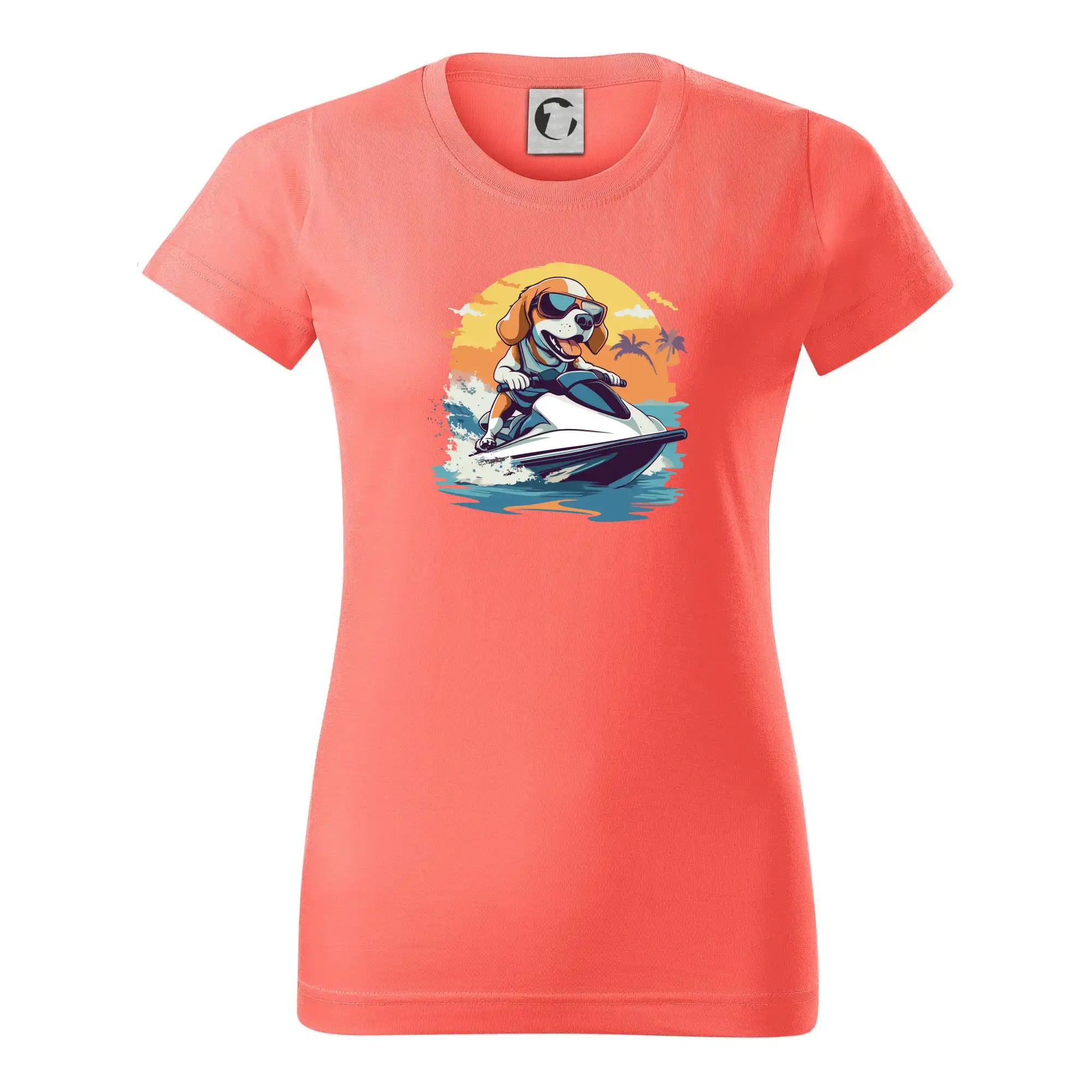 Bígl na vodním skútru