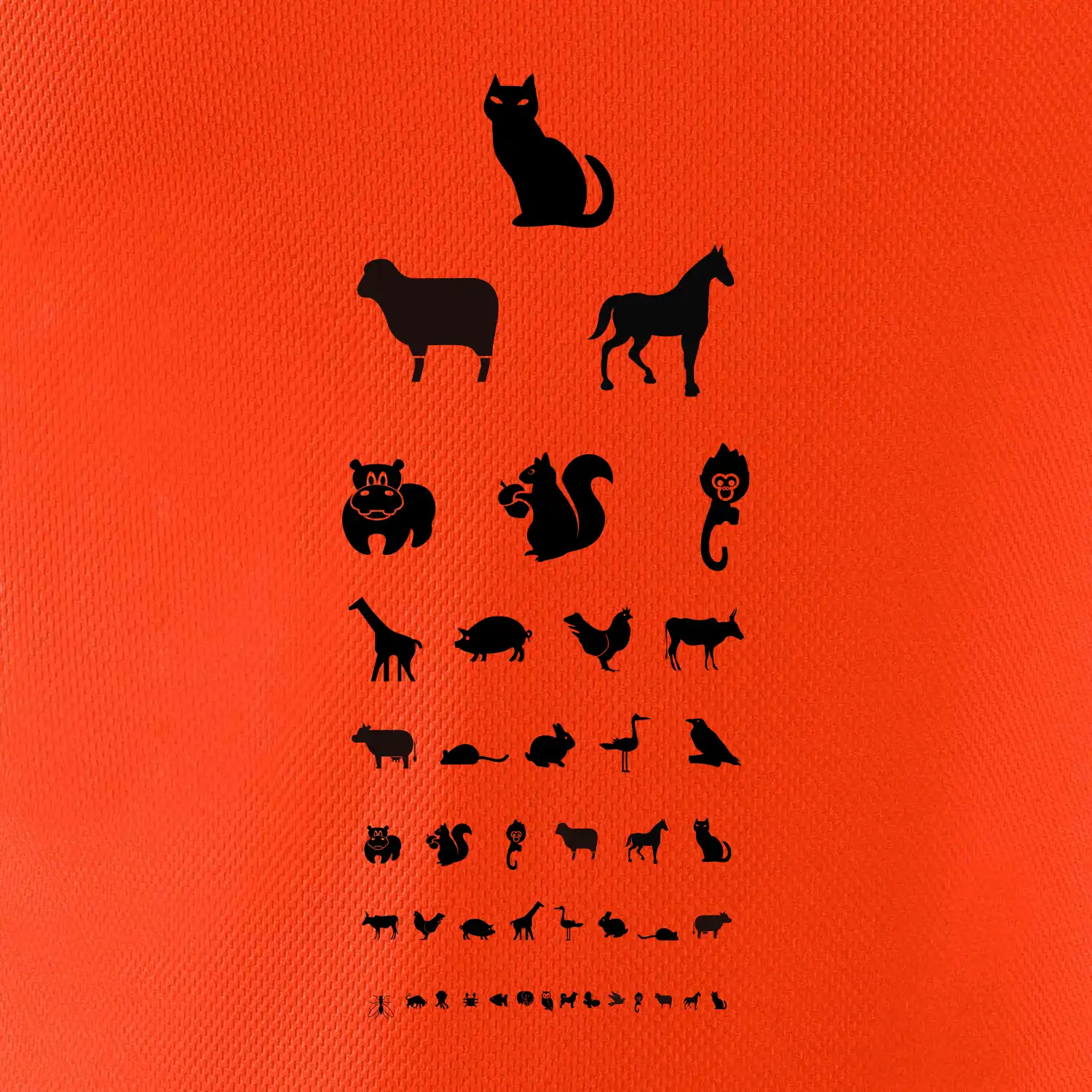 Oční test zvířatka