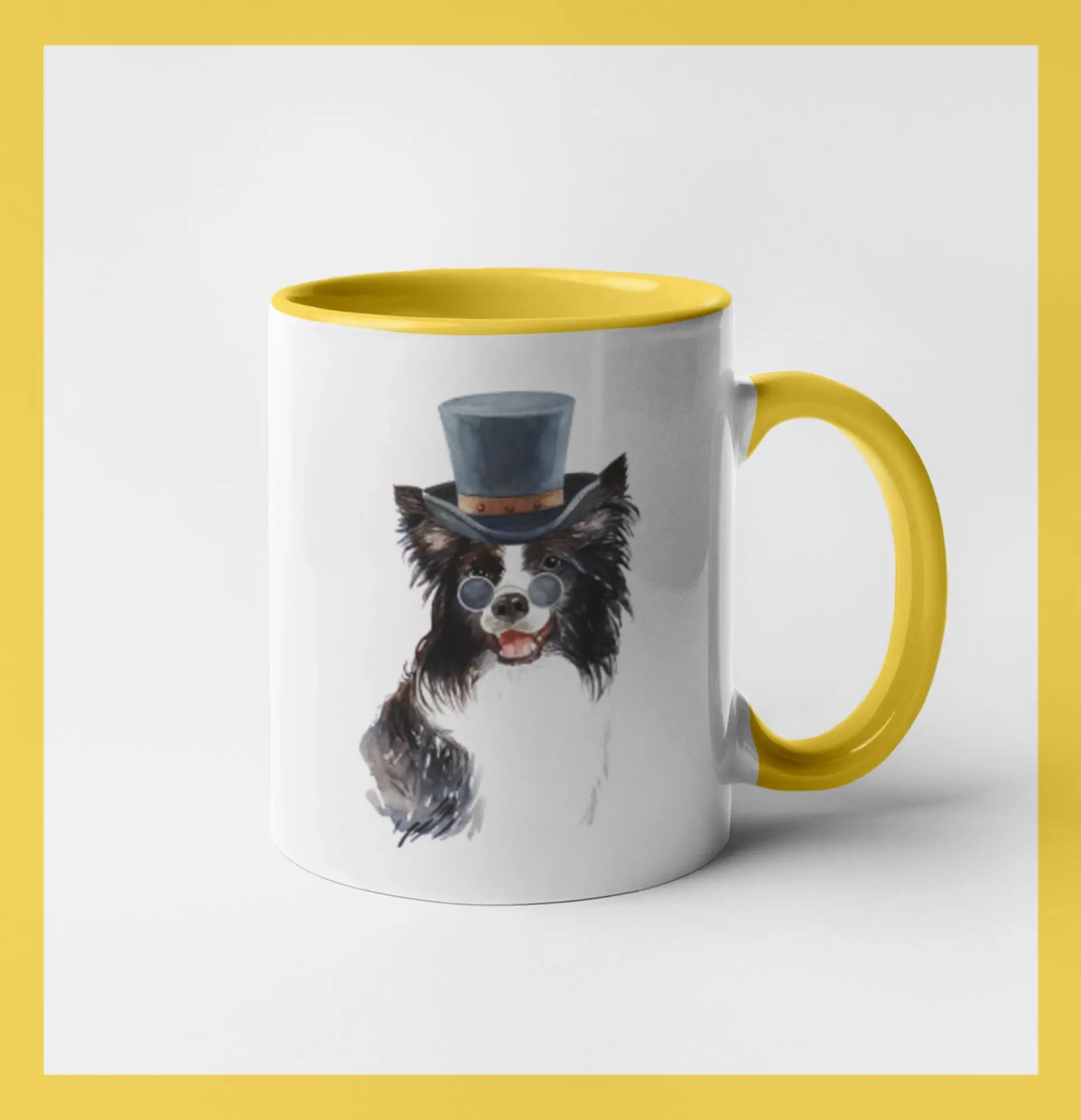 Border kolie v klobouku