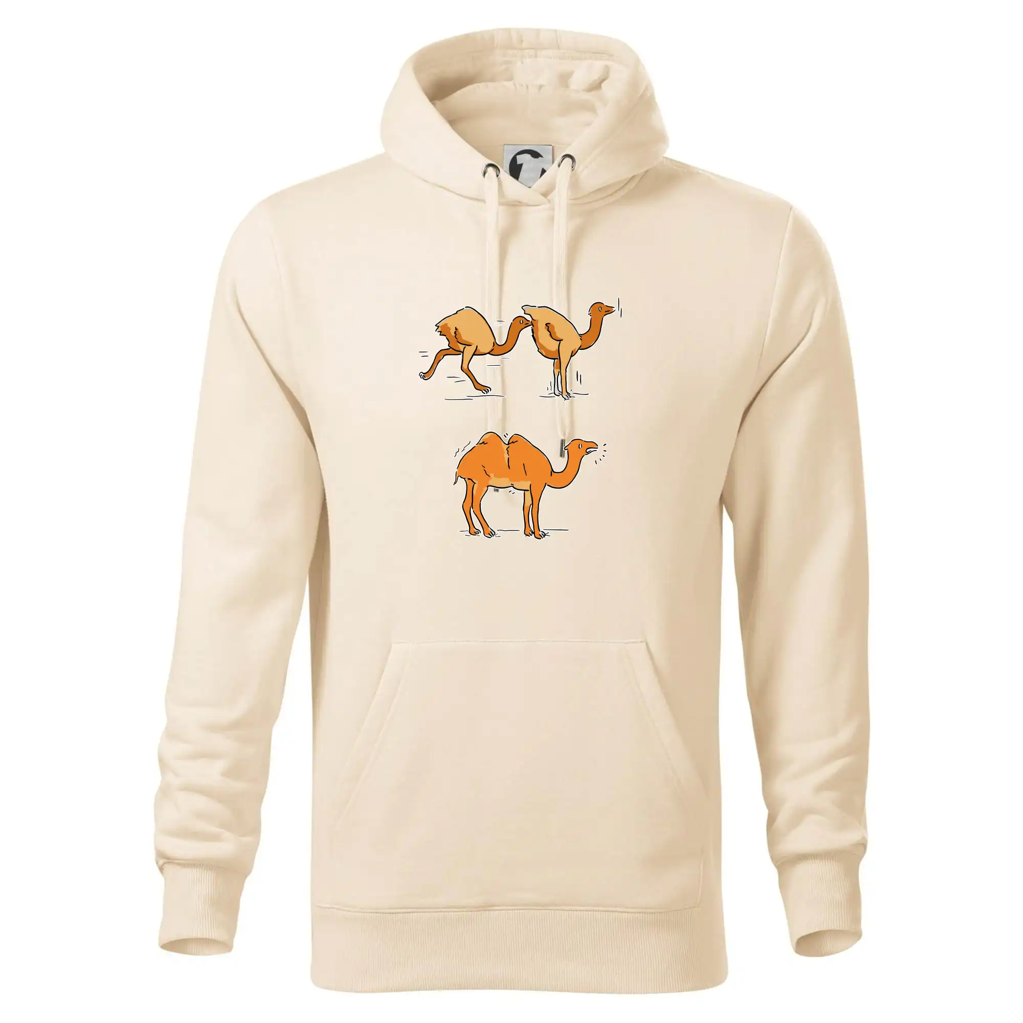 Pravda o velbloudech